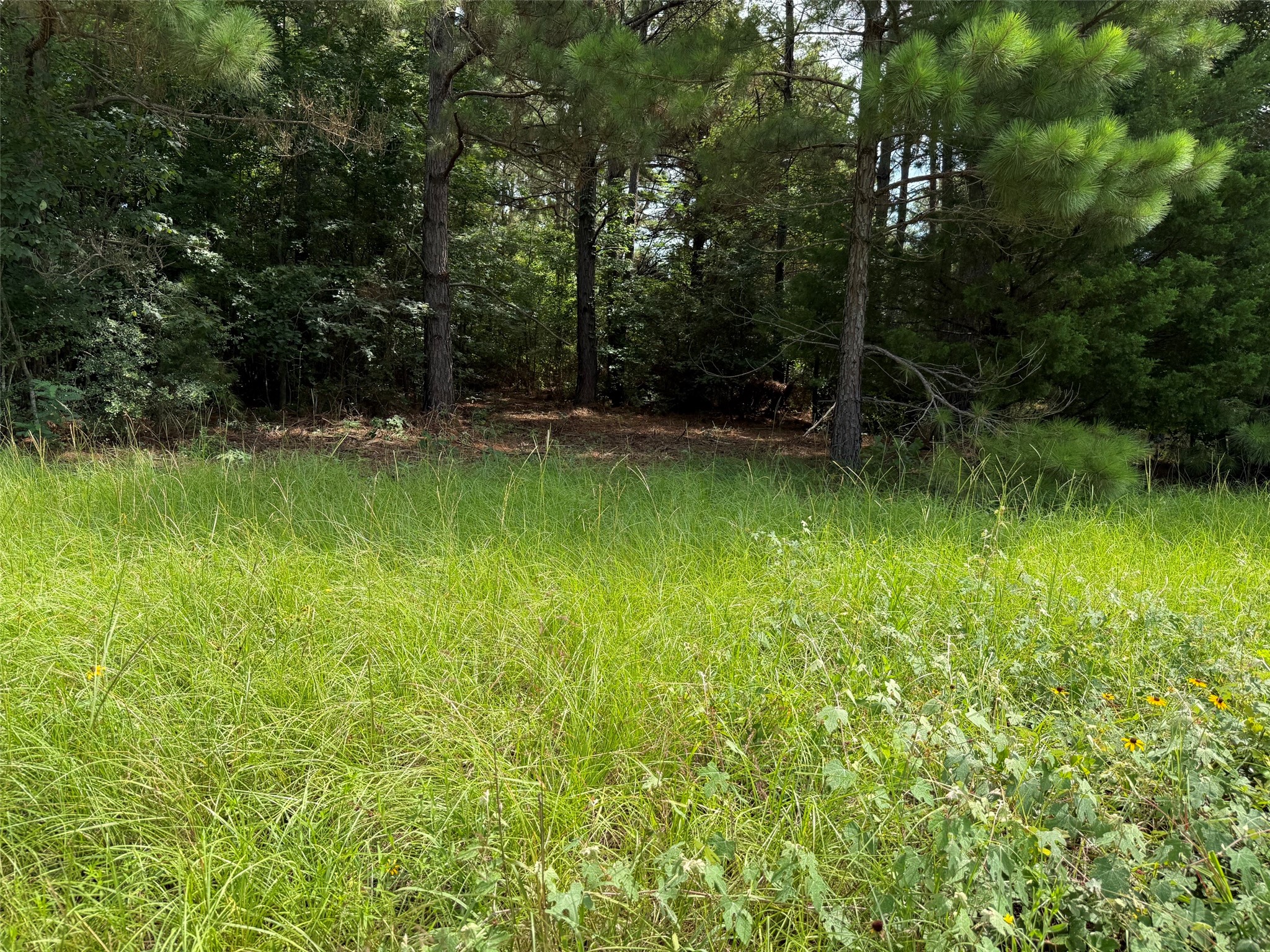 462 Cr 1655 Property Photo 14