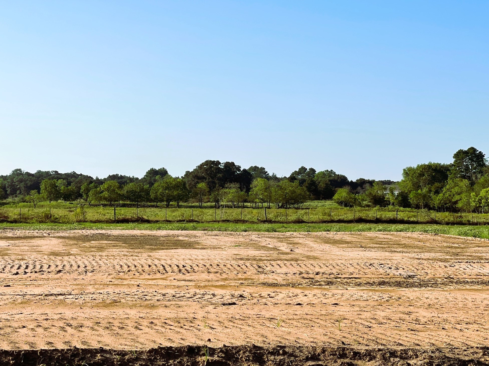 Lot 6 - 1.1099 Acres El Dorado Court Property Photo 10