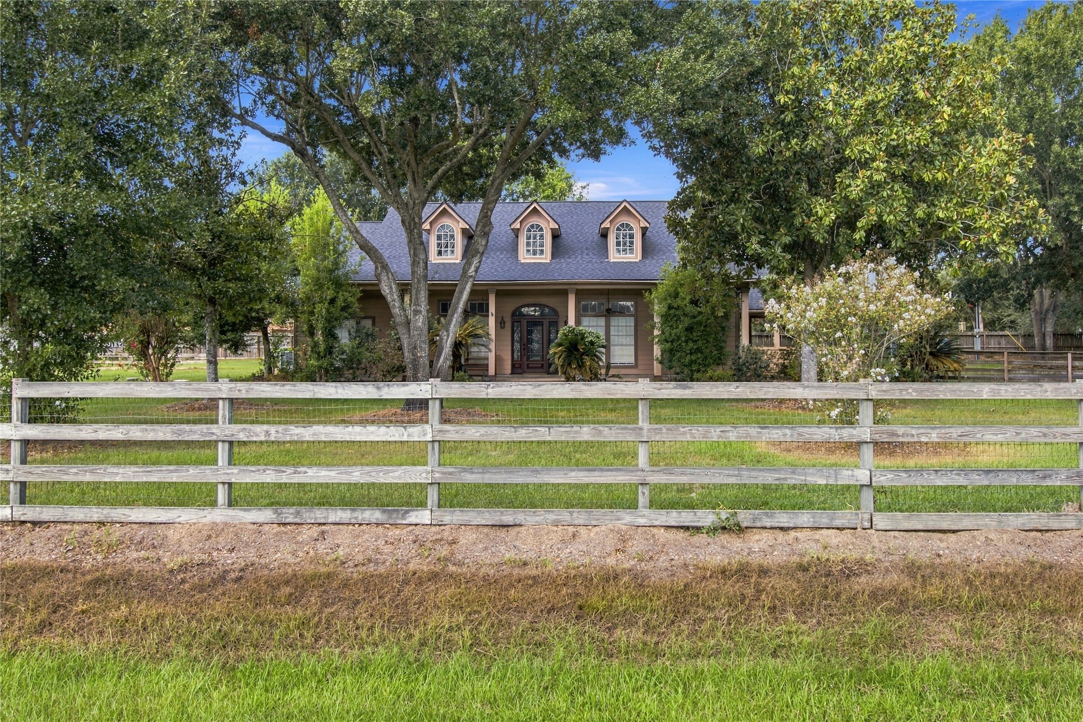 14907 Armadillo