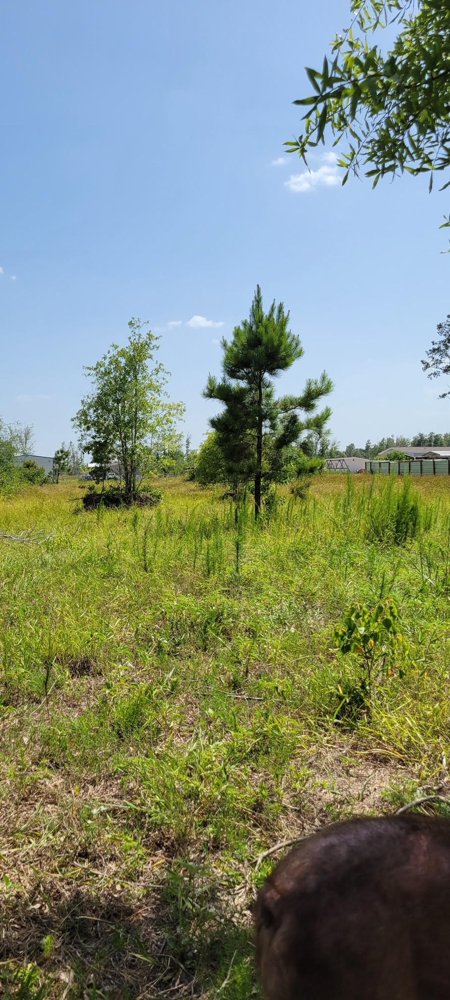 2411 Road 5100 Property Photo 1
