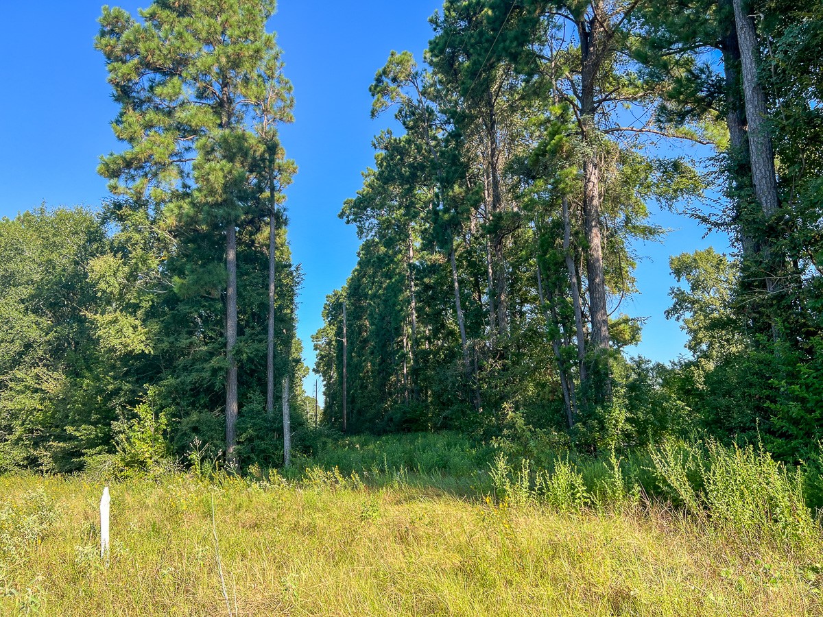 01 Fm 247 Property Photo 11