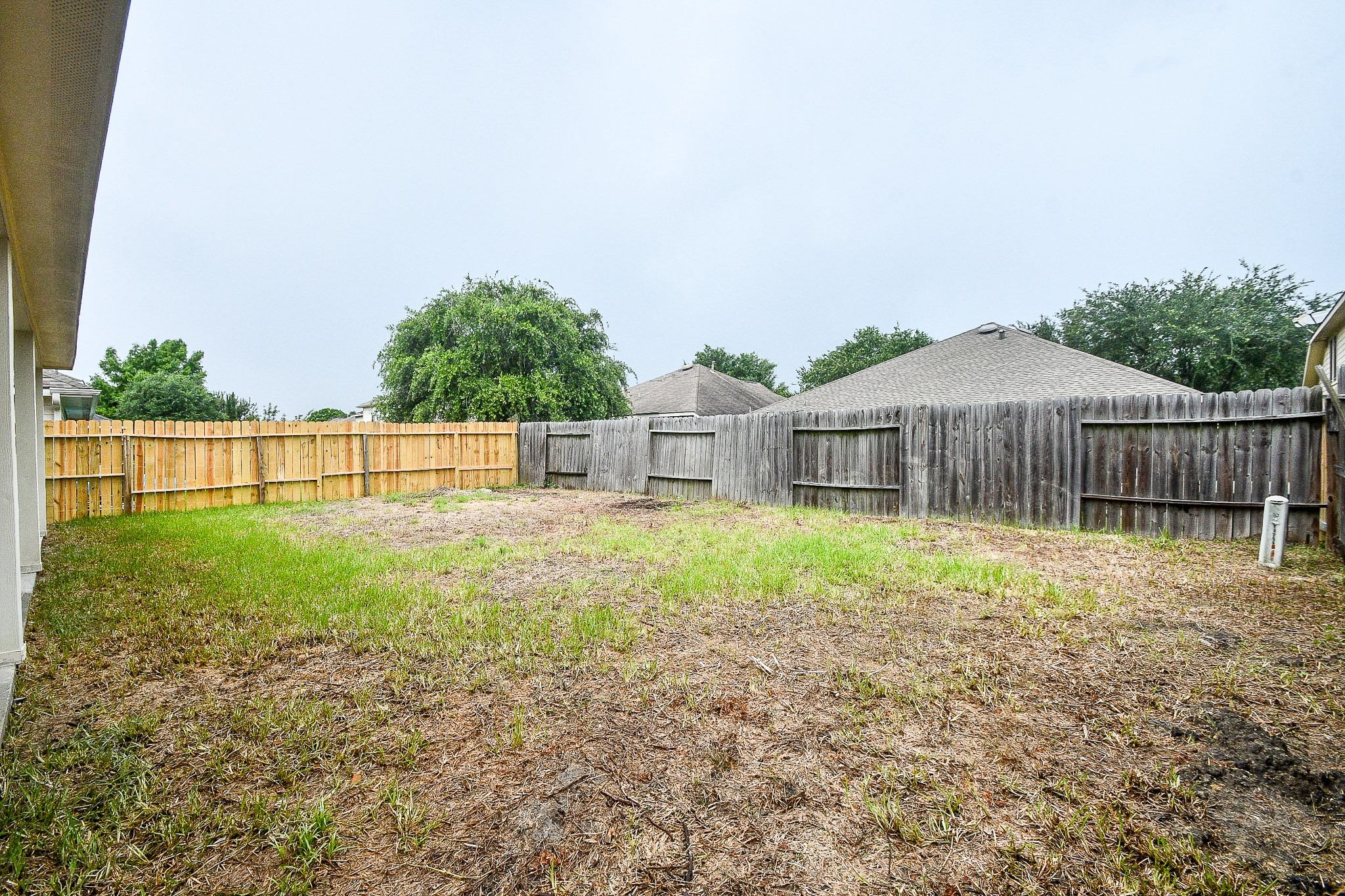 5443 Cilantro Lane Property Photo 18