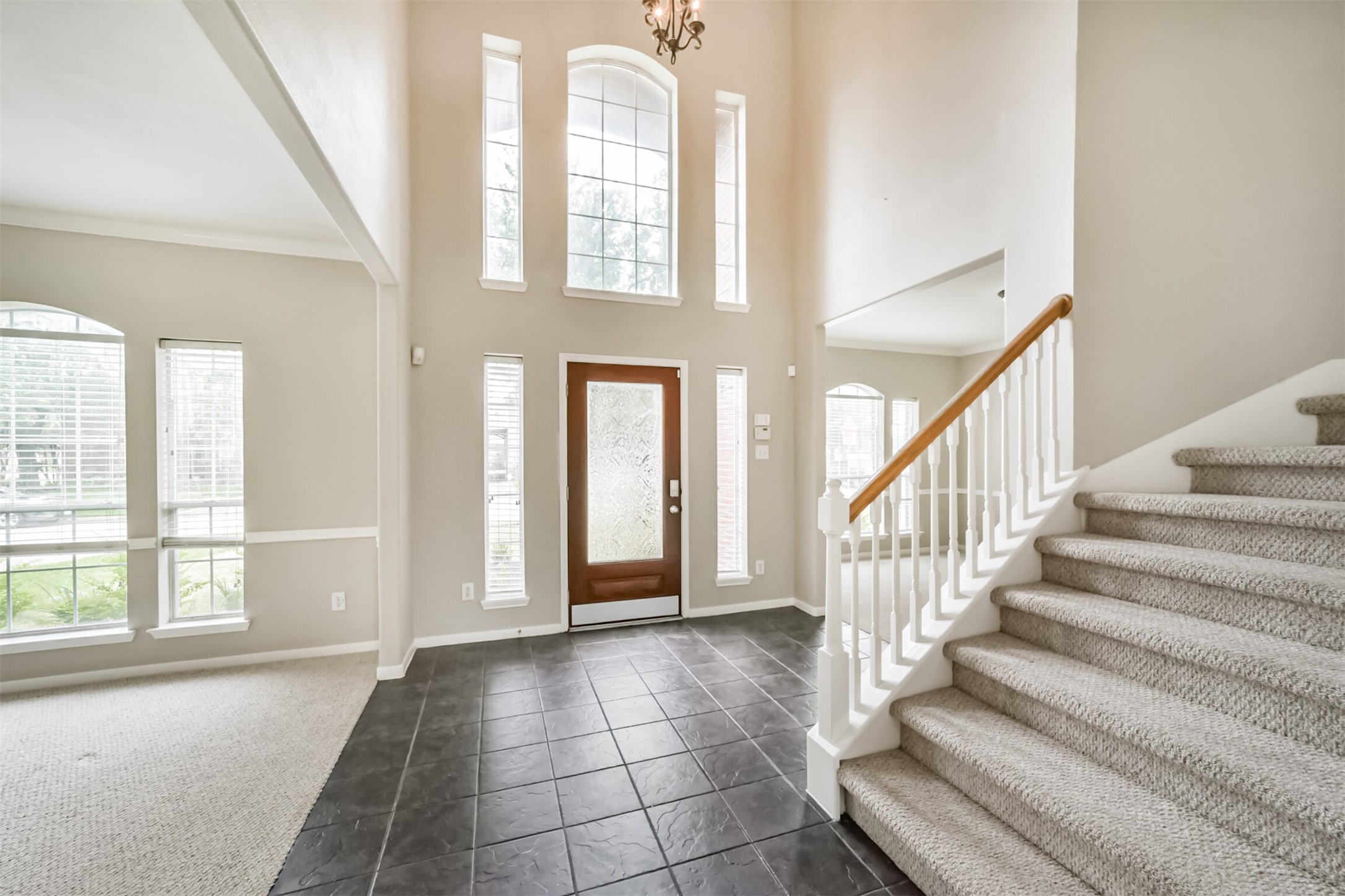 2705 Haleys Comet Court Property Photo 6