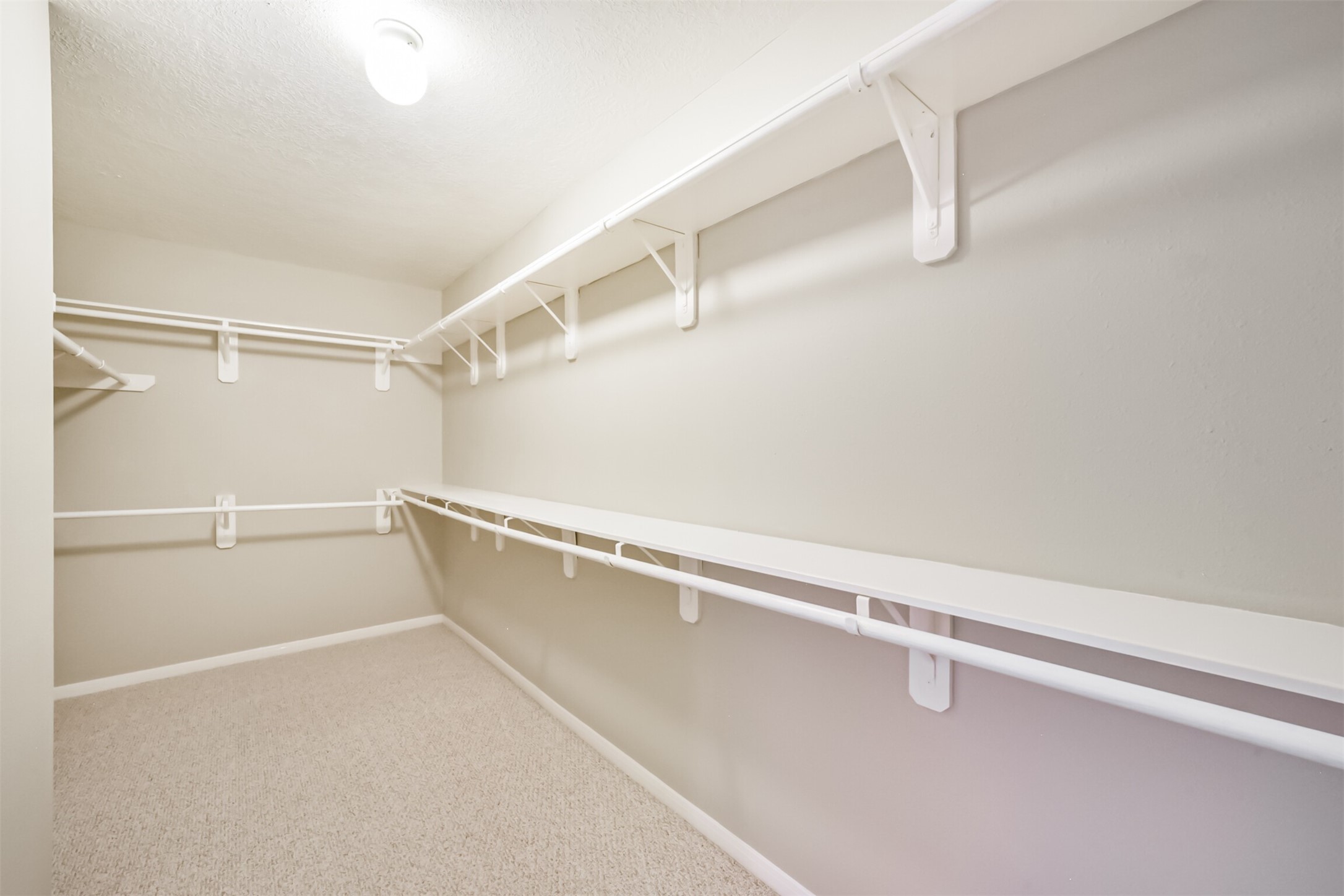 2705 Haleys Comet Court Property Photo 41