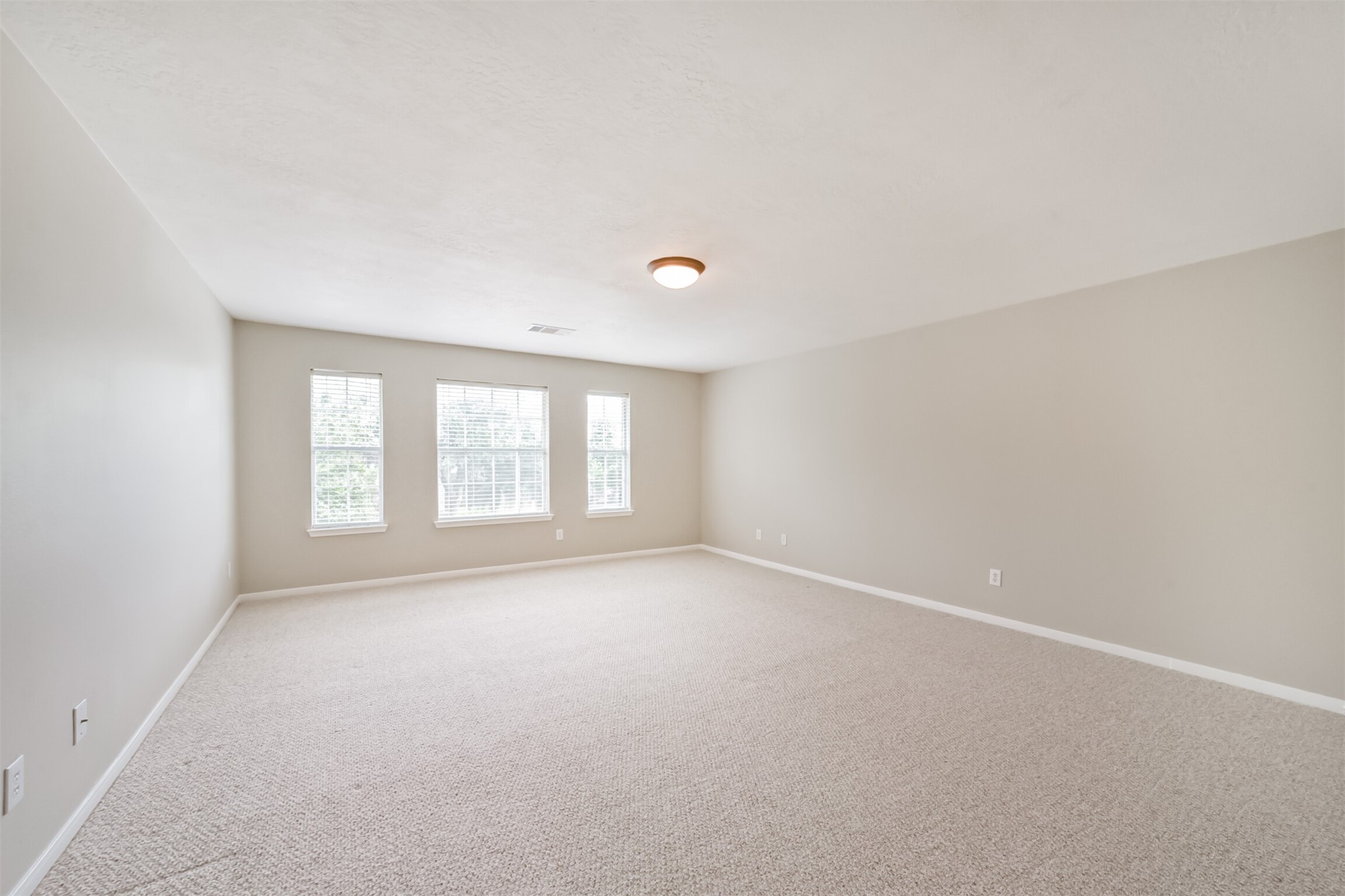 2705 Haleys Comet Court Property Photo 43