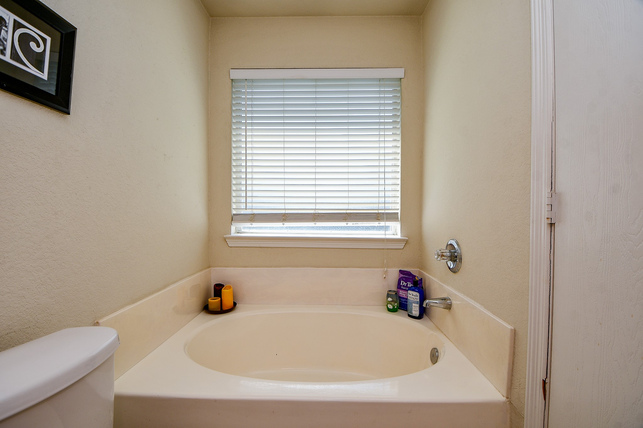 16202 Broadglen Court Property Photo 18