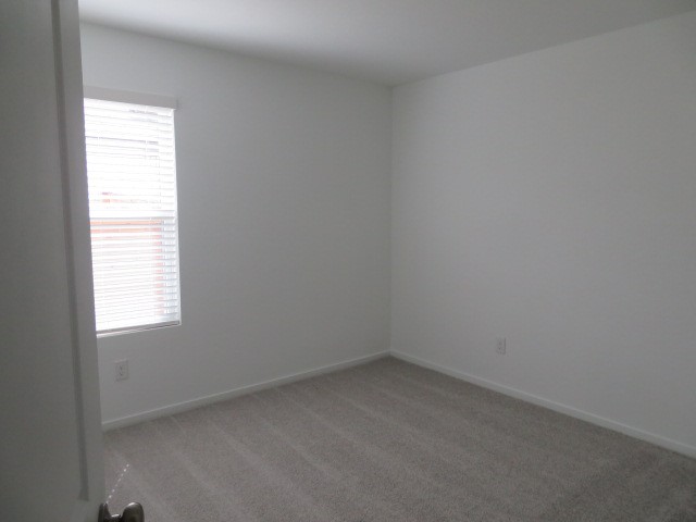 13318 Wind Field Drive Property Photo 17