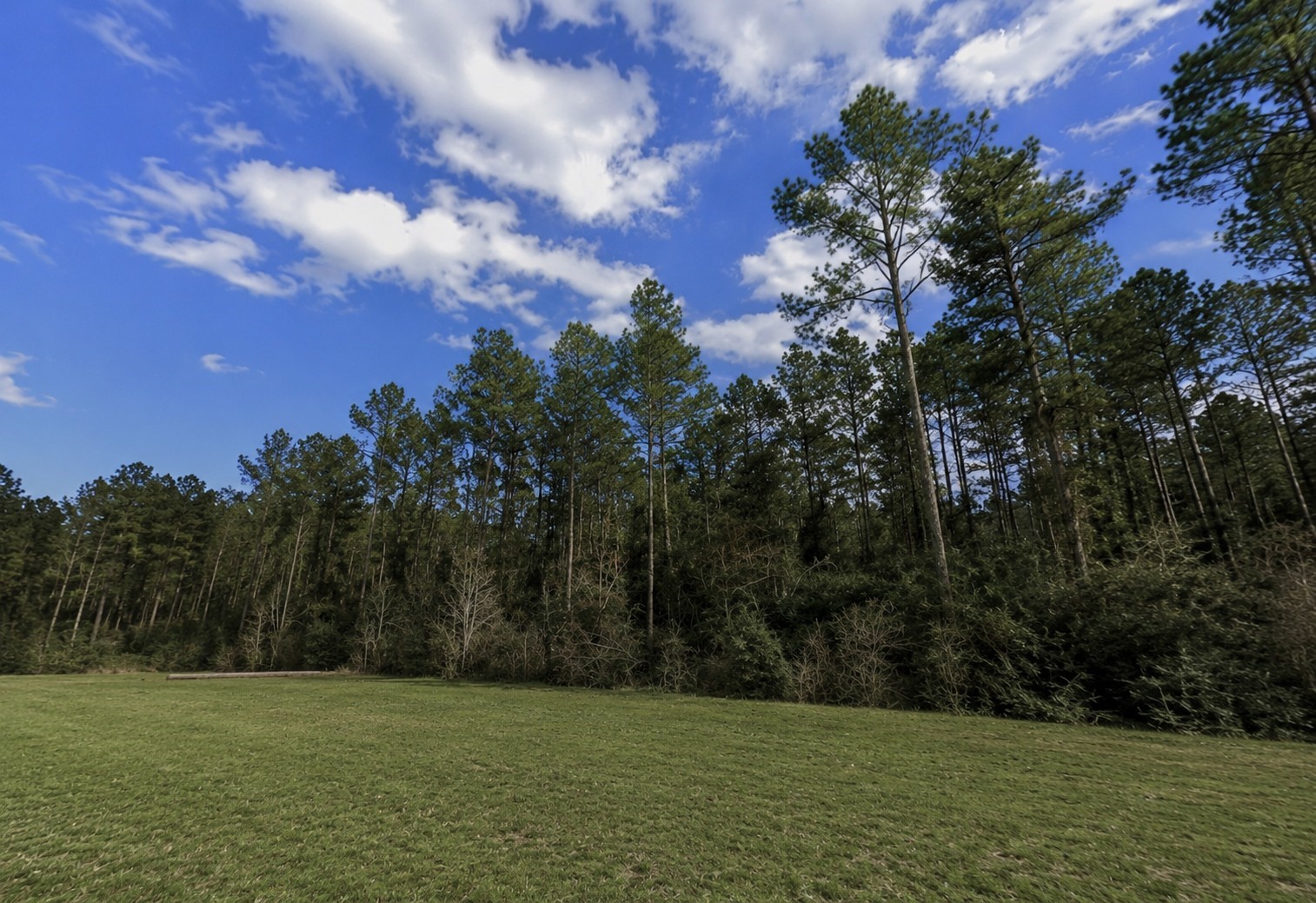 10711 Ruger Road Property Photo 4