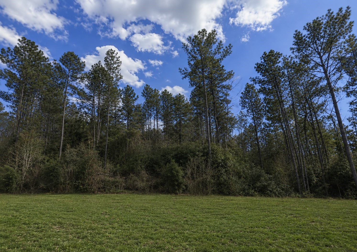 10711 Ruger Road Property Photo 5
