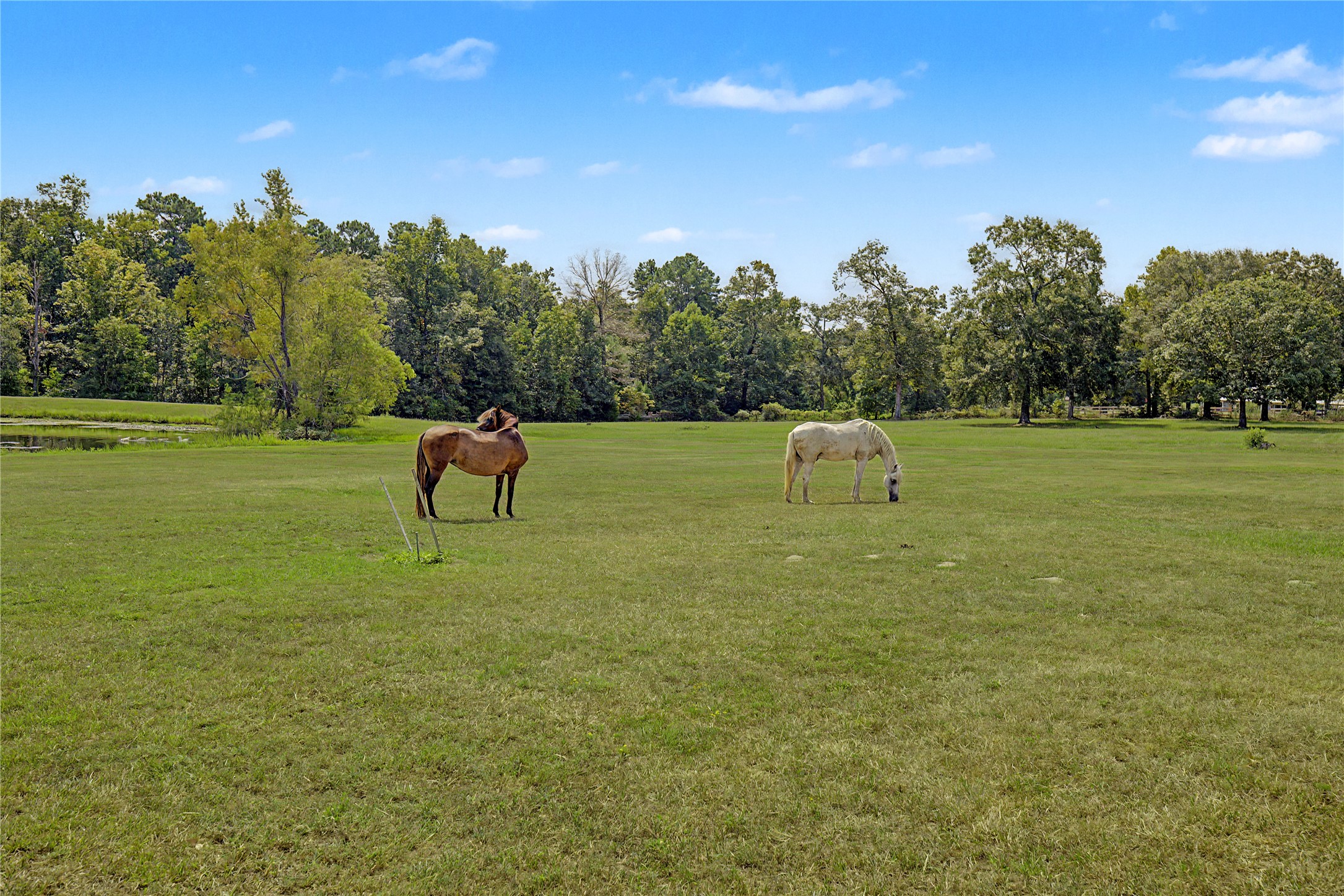 8988 County Line Road Property Photo 30