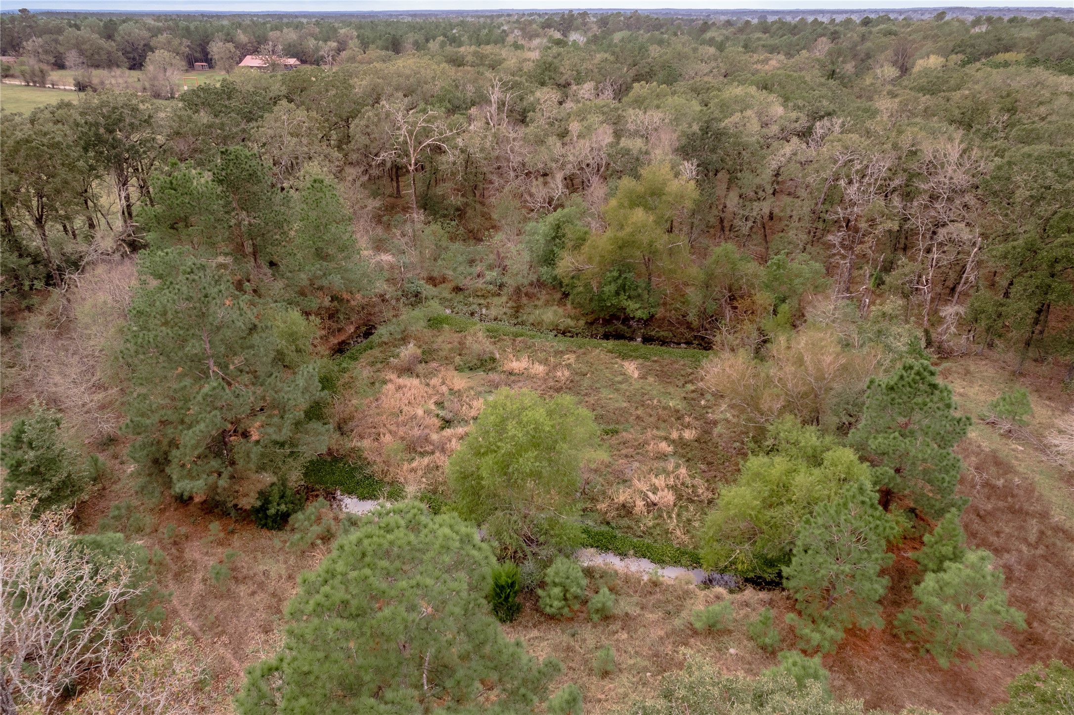 0000 S Us Hwy 287 Property Photo 10