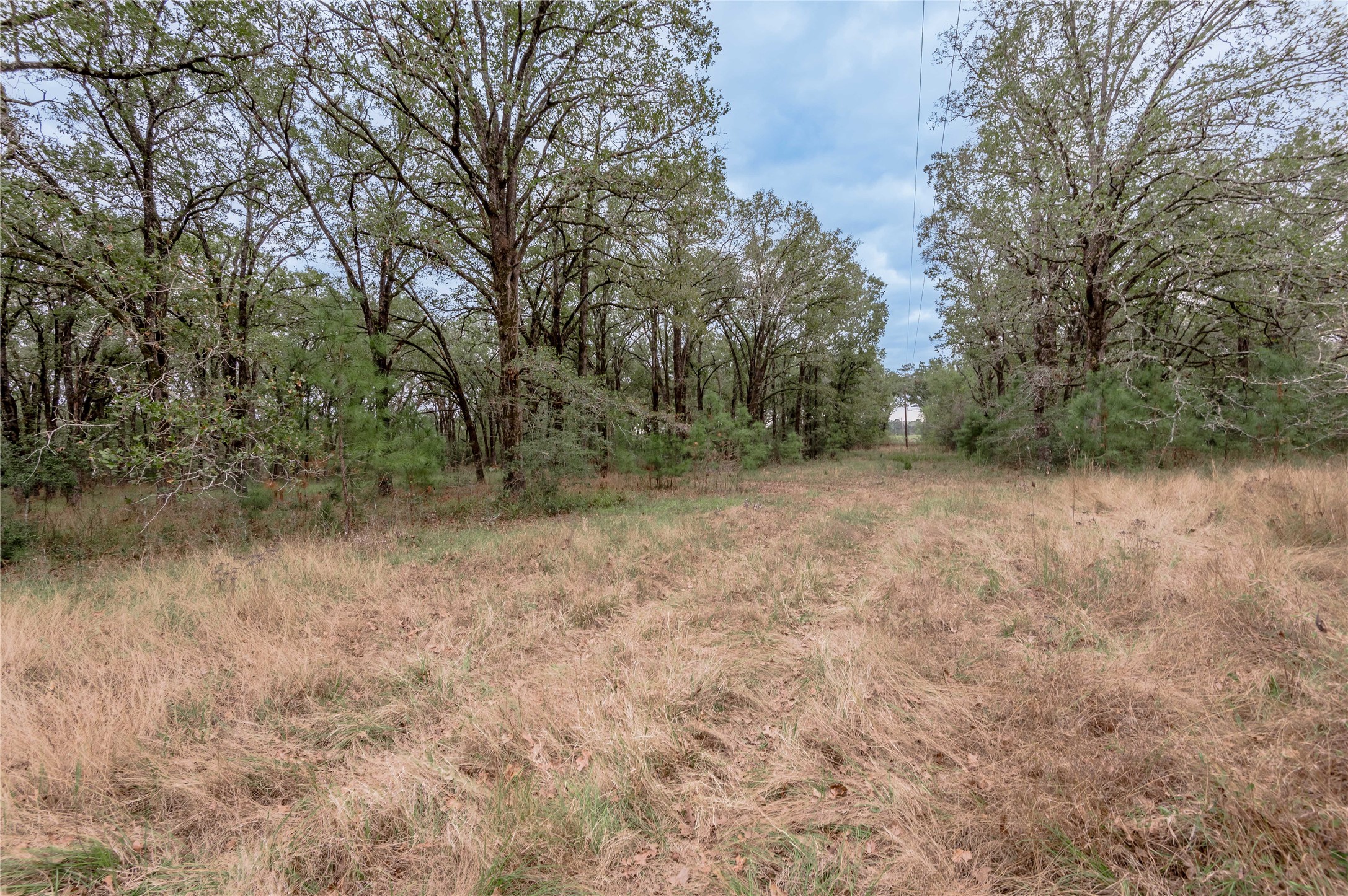 0000 S Us Hwy 287 Property Photo 14