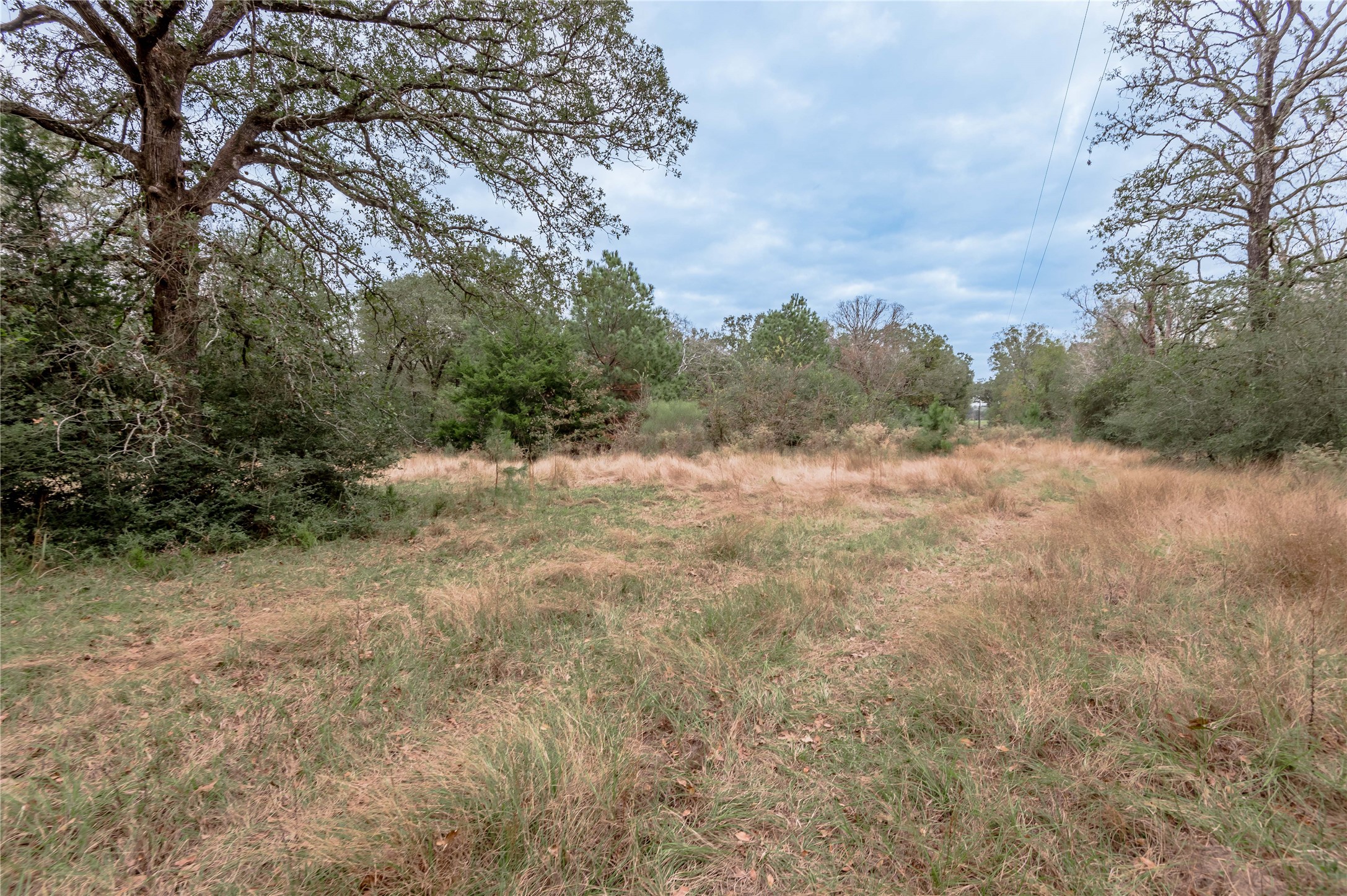 0000 S Us Hwy 287 Property Photo 16