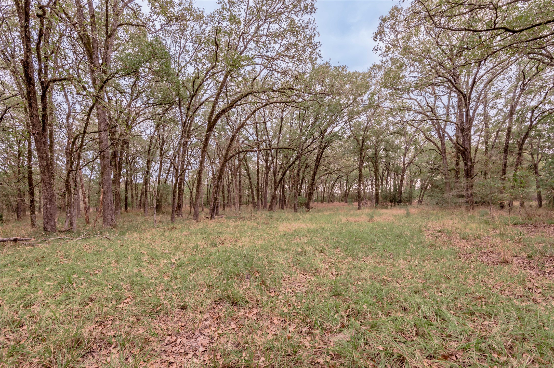 0000 S Us Hwy 287 Property Photo 17