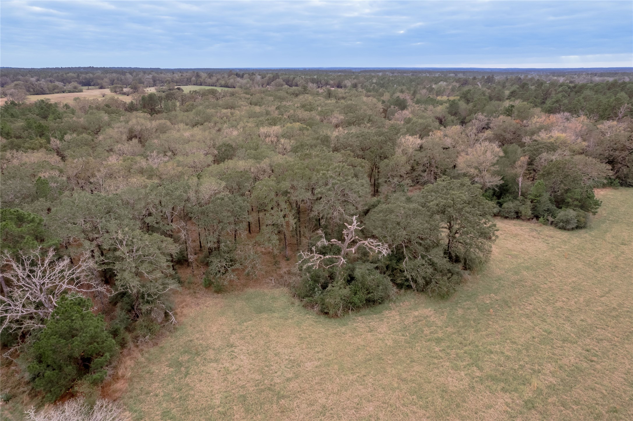 0000 S Us Hwy 287 Property Photo 29