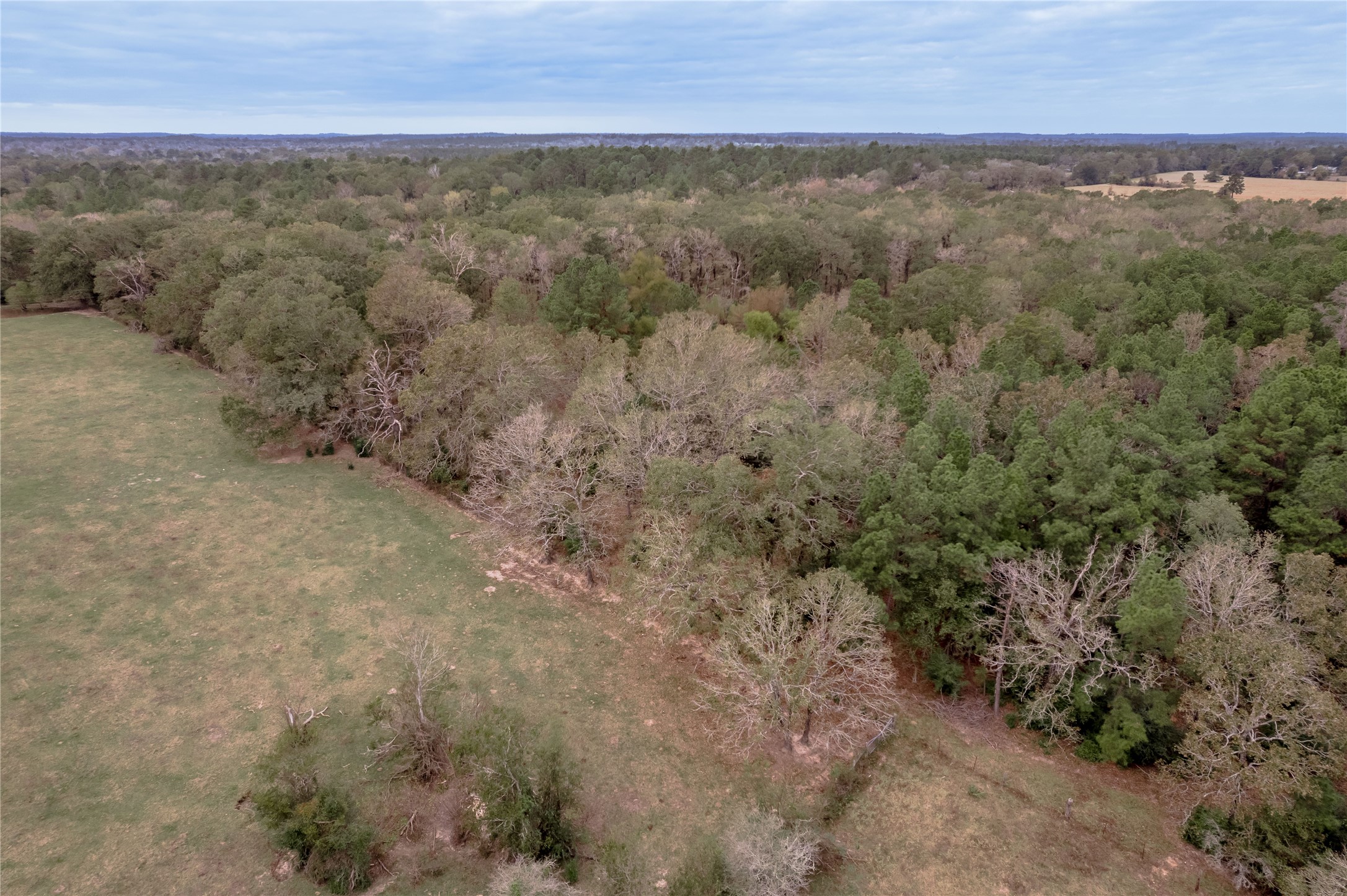 0000 S Us Hwy 287 Property Photo 31