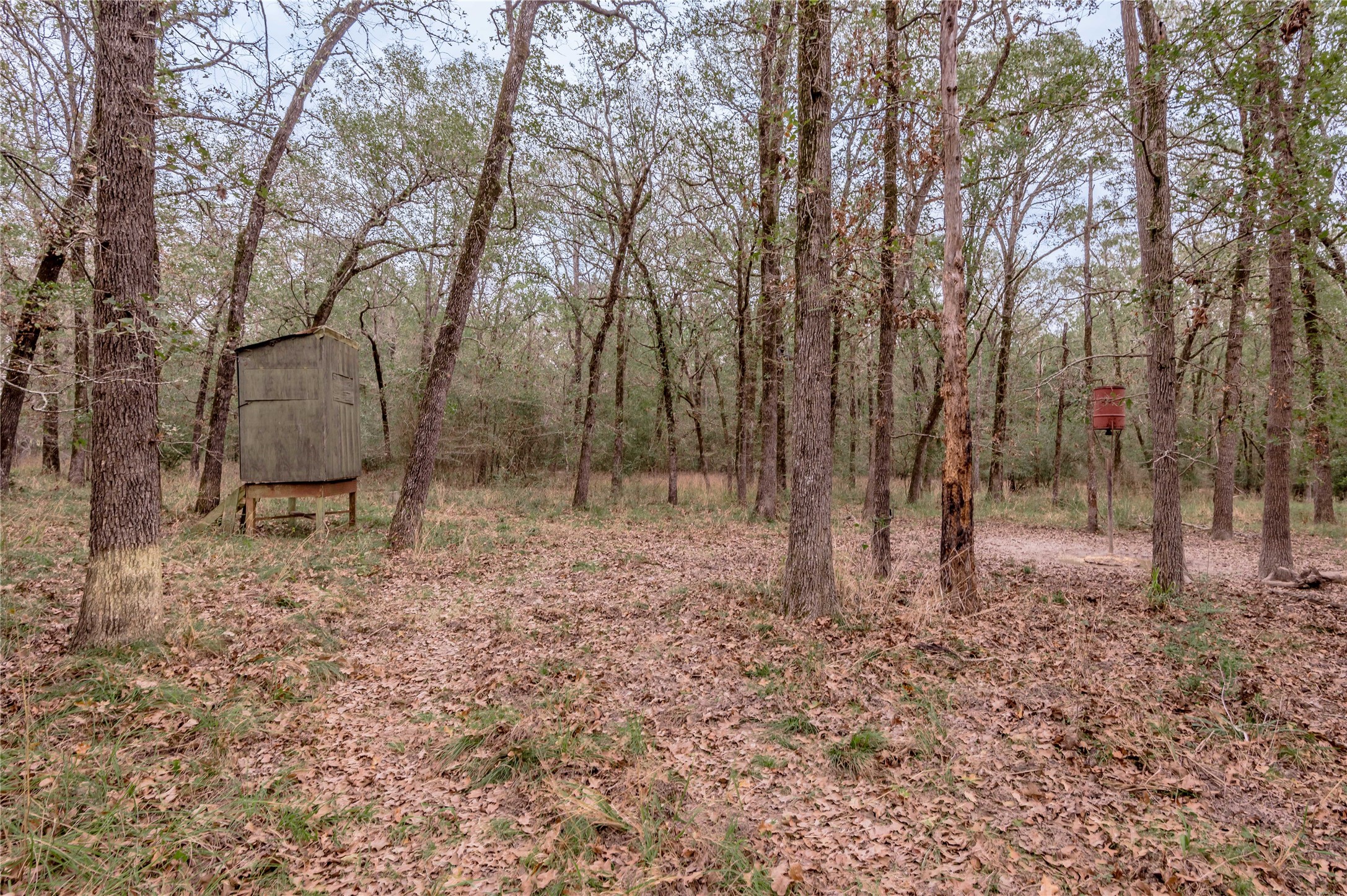 0000 S Us Hwy 287 Property Photo 41
