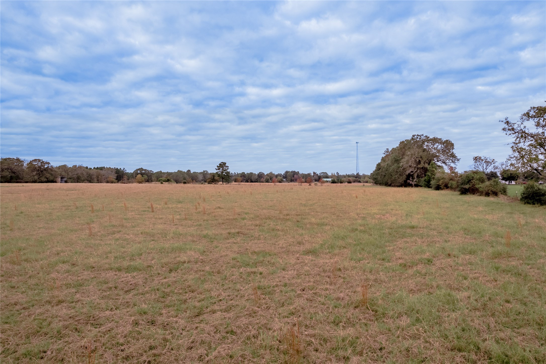 0000 S Us Hwy 287 Property Photo 43
