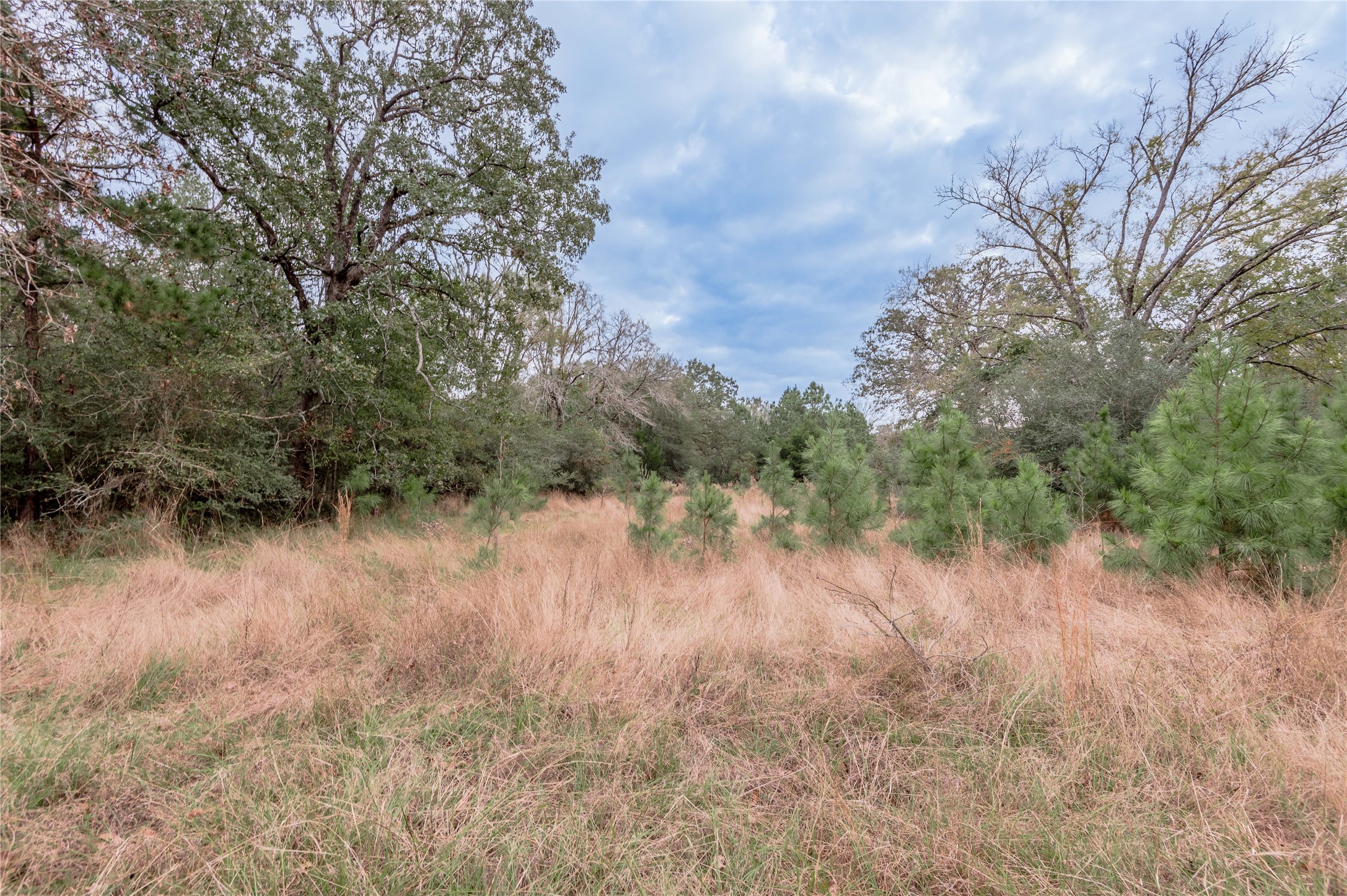 0000 S Us Hwy 287 Property Photo 46