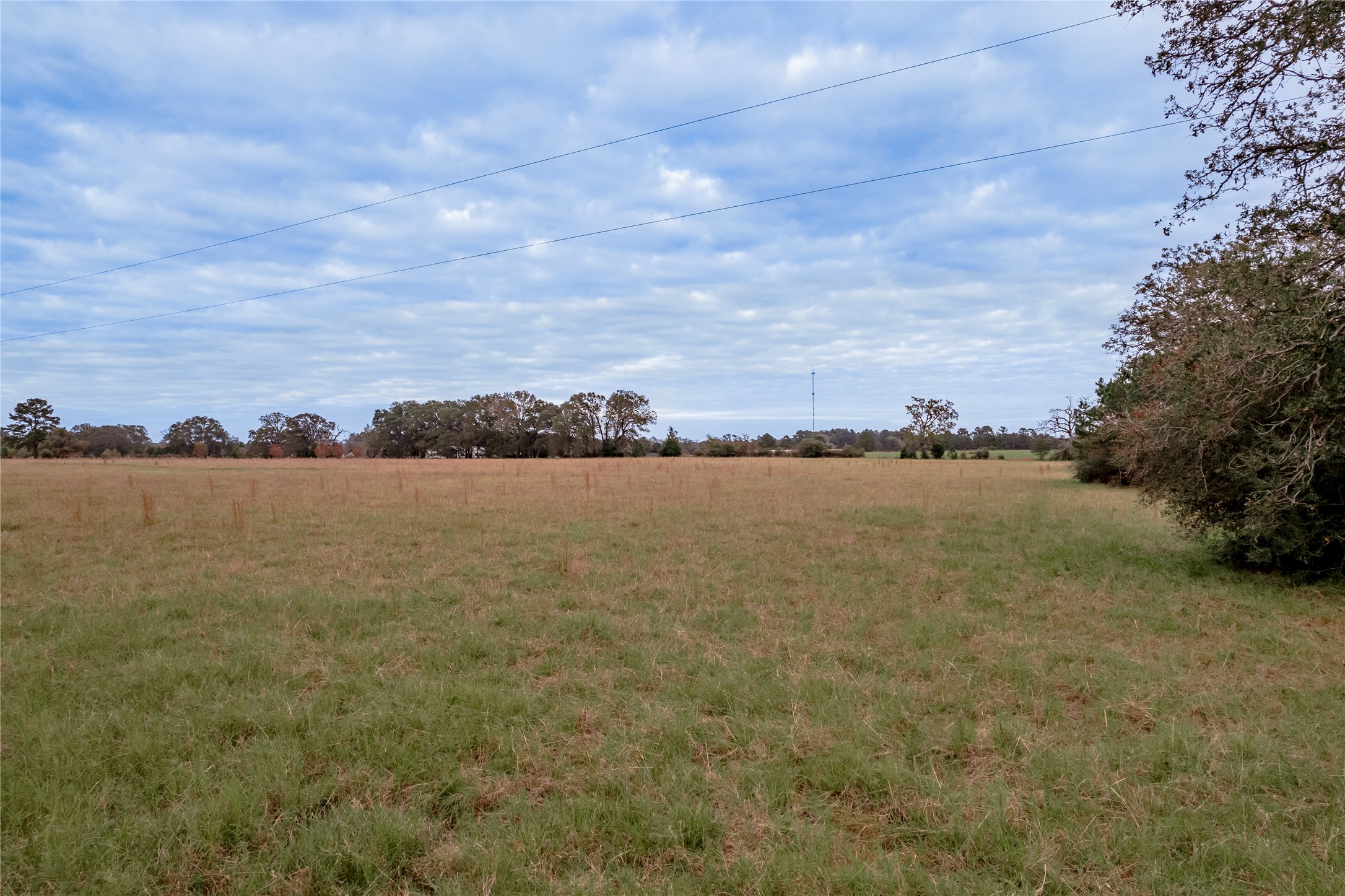 0000 S Us Hwy 287 Property Photo 50