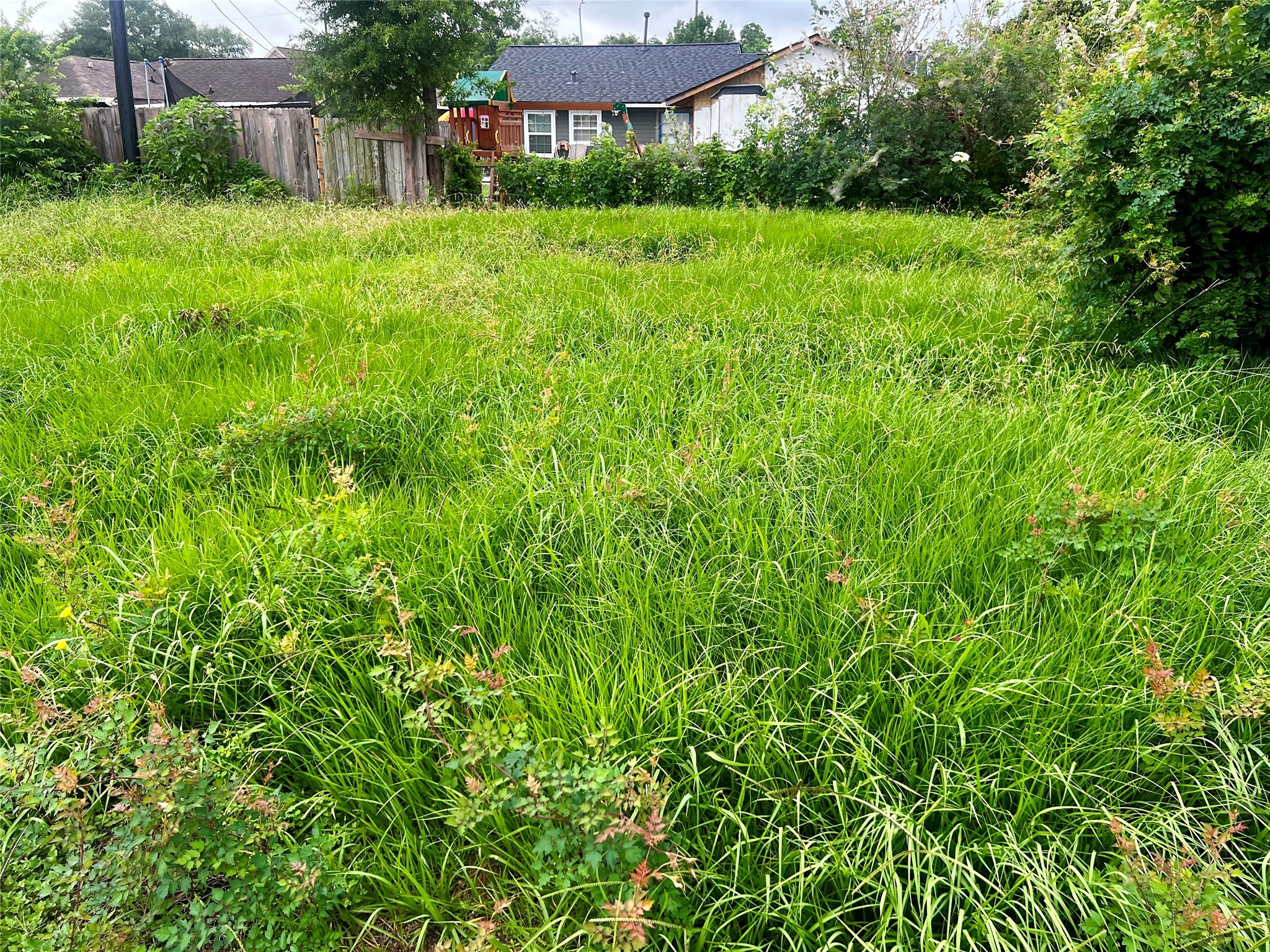 3304 Bond Street Property Photo 6