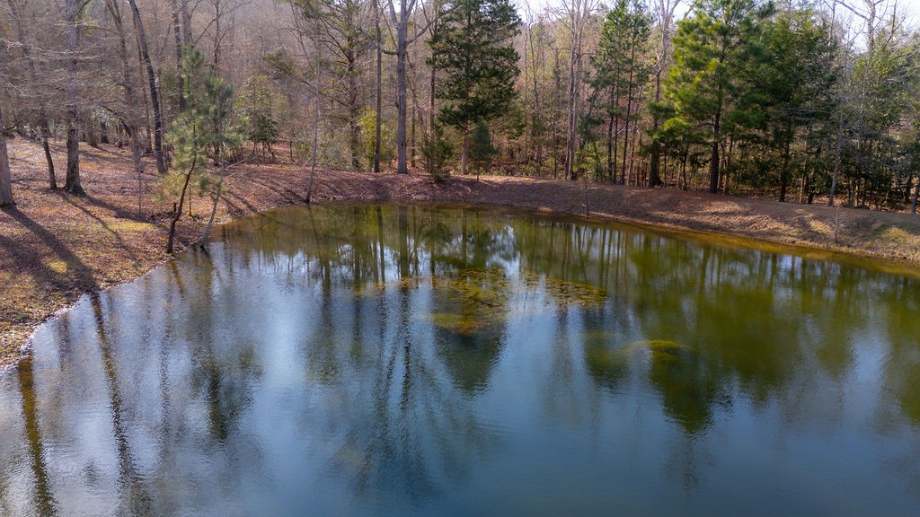 1654 Forest Service Rd 524 Road Property Photo 1