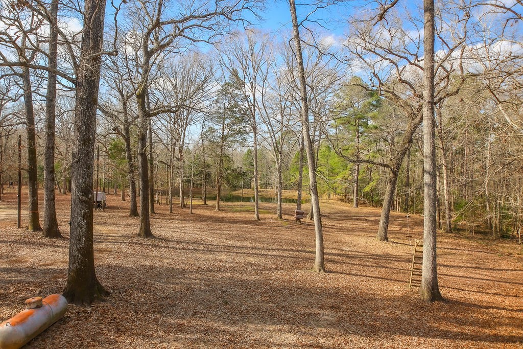 1654 Forest Service Rd 524 Road Property Photo 5