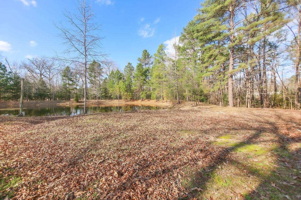 1654 Forest Service Rd 524 Road Property Photo 25