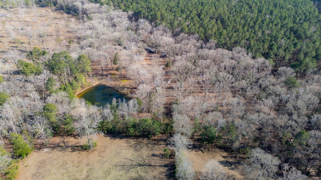 1654 Forest Service Rd 524 Road Property Photo 29