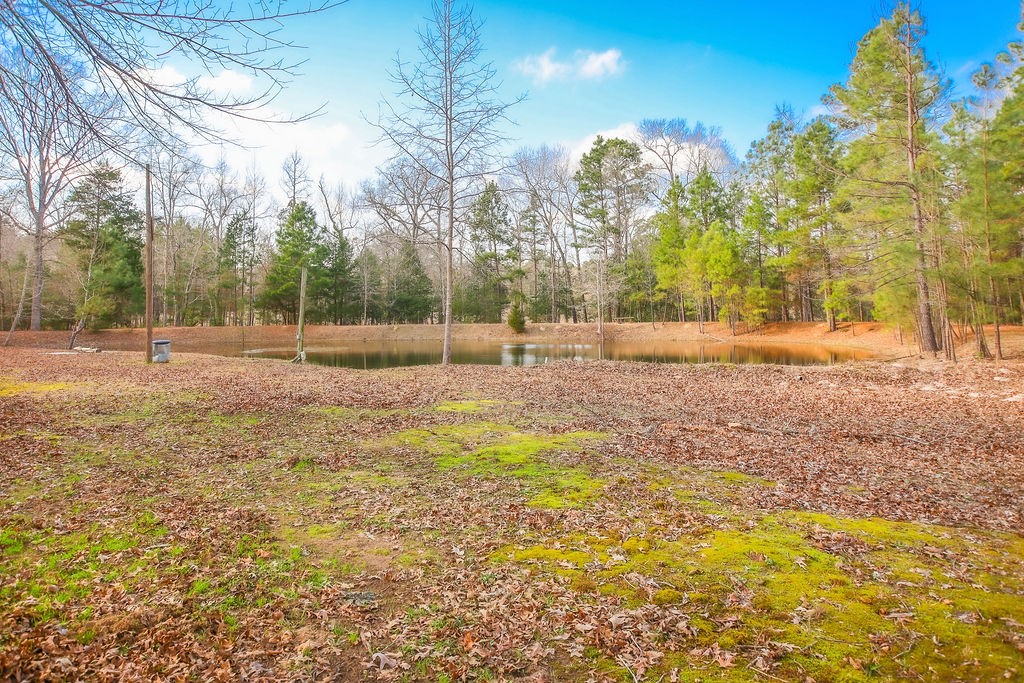 1654 Forest Service Rd 524 Road Property Photo 31