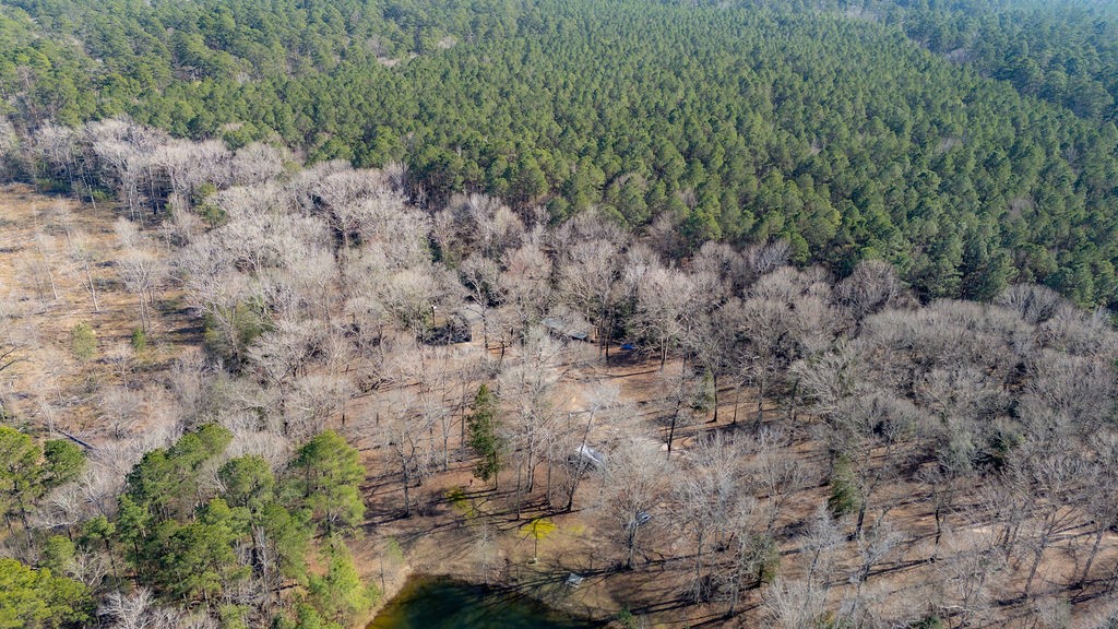 1654 Forest Service Rd 524 Road Property Photo 33