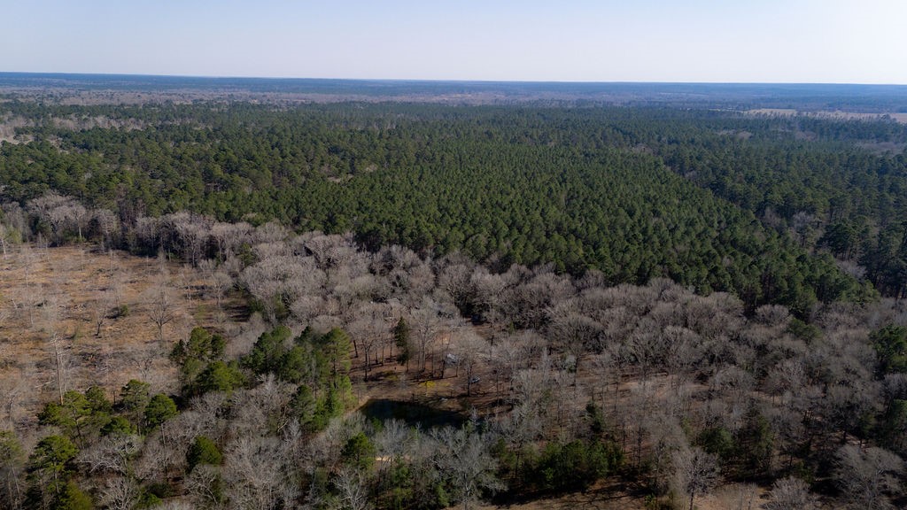 1654 Forest Service Rd 524 Road Property Photo 34