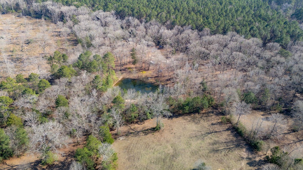 1654 Forest Service Rd 524 Road Property Photo 35