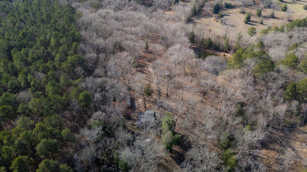1654 Forest Service Rd 524 Road Property Photo 36