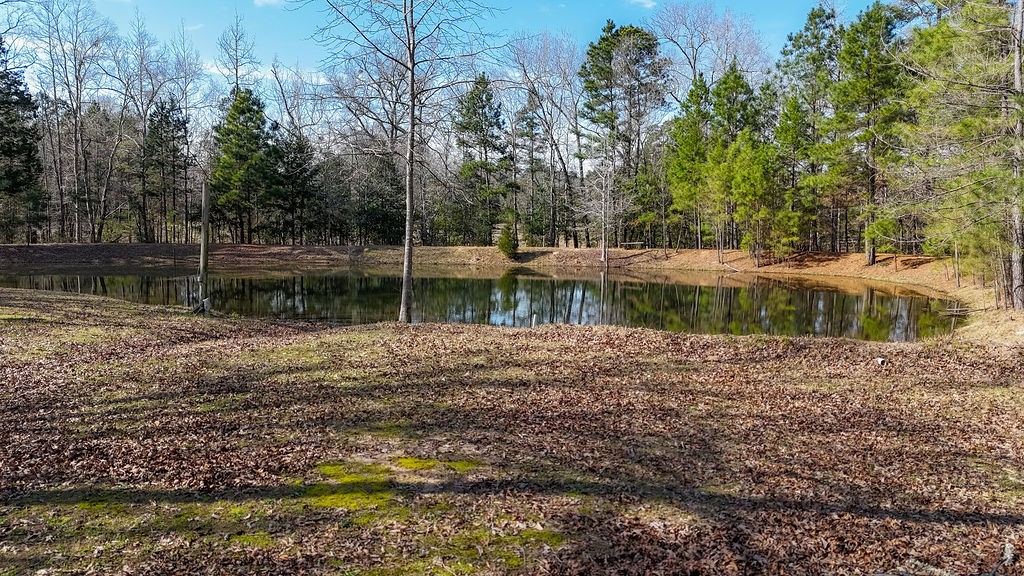 1654 Forest Service Rd 524 Road Property Photo 37