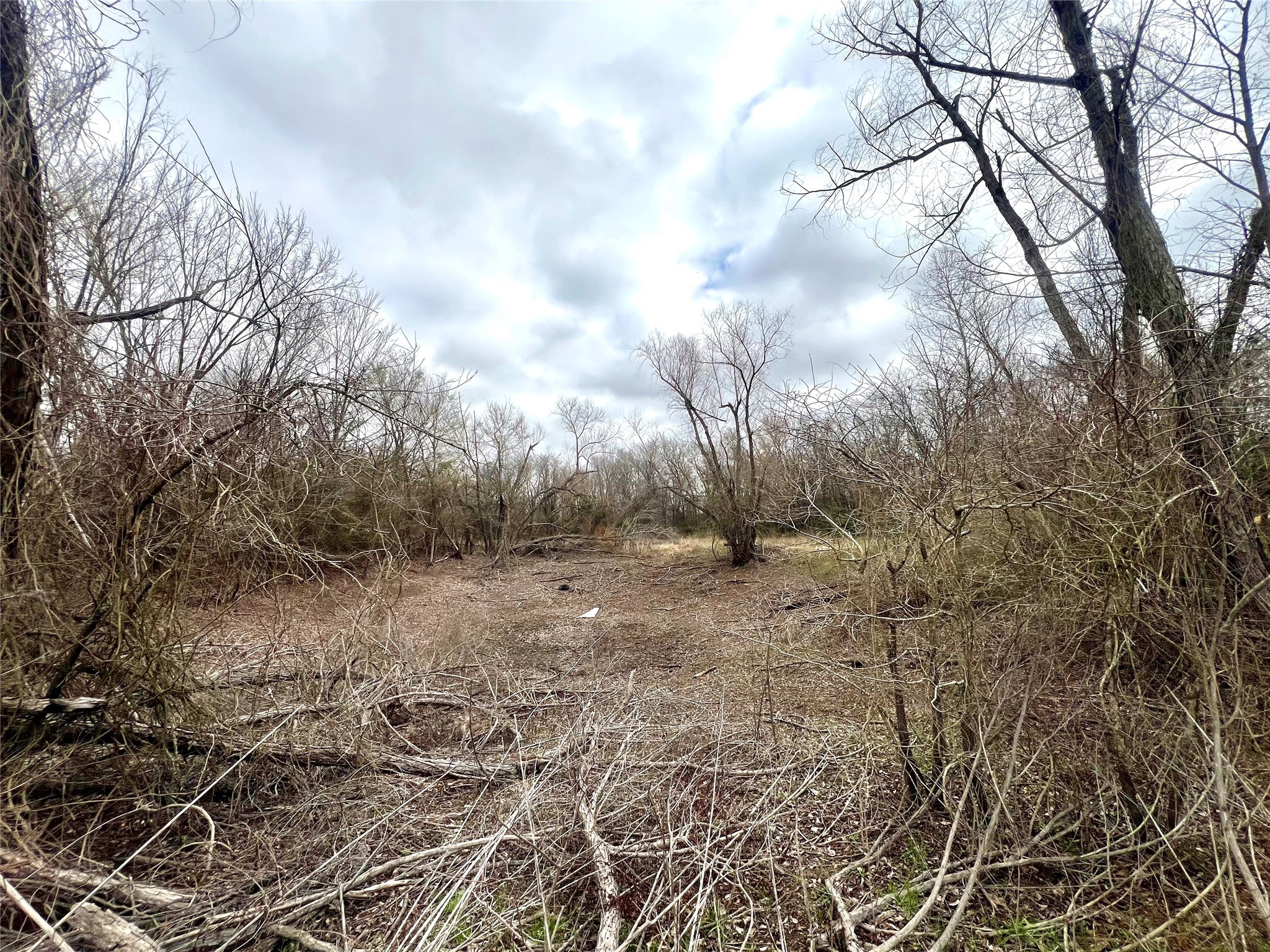283 County Road Property Photo 4