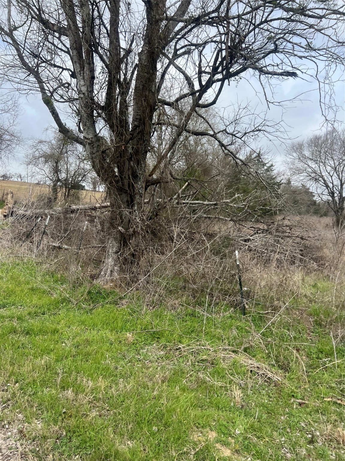 283 County Road Property Photo 8