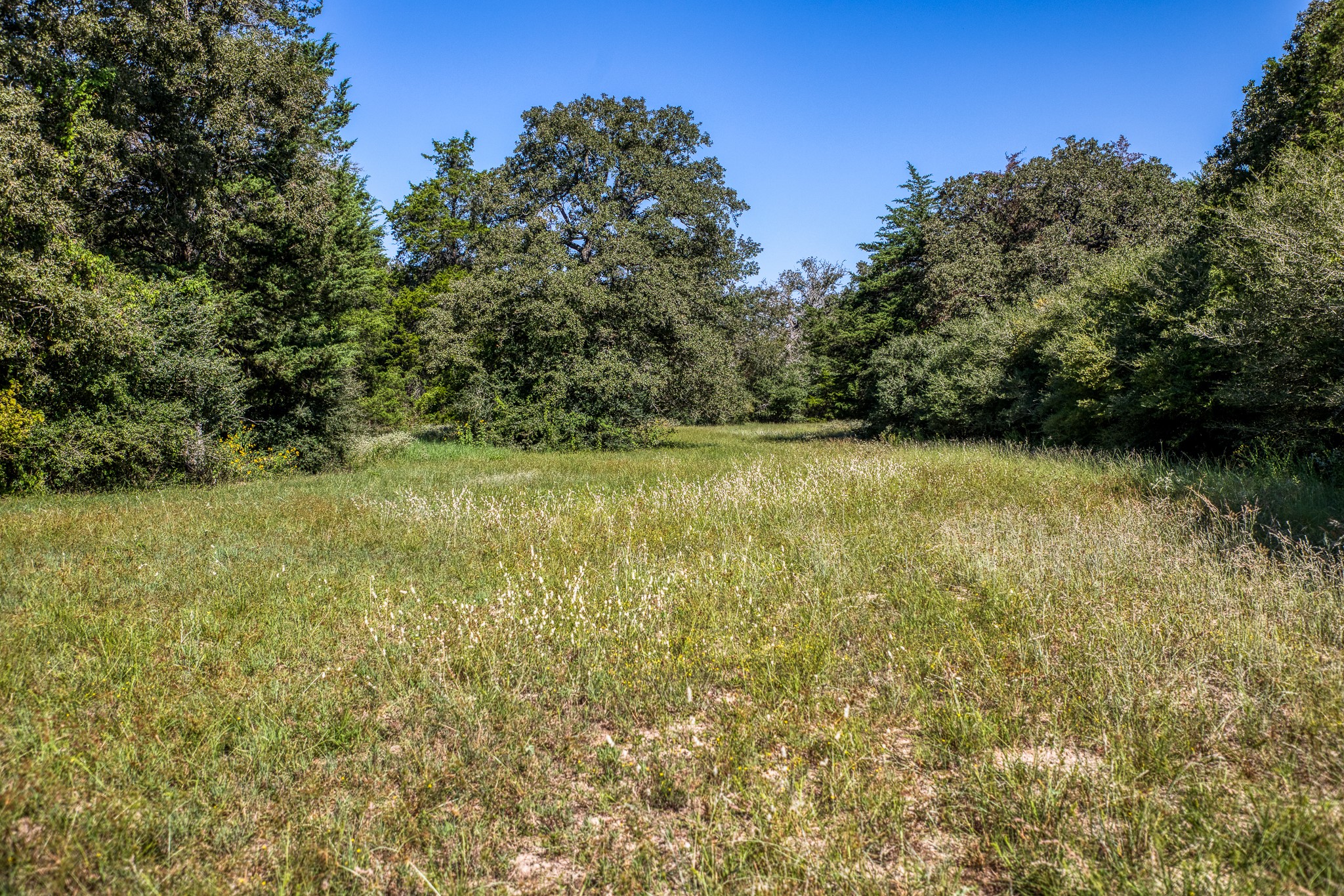 3336 County Road 326 Property Photo 39
