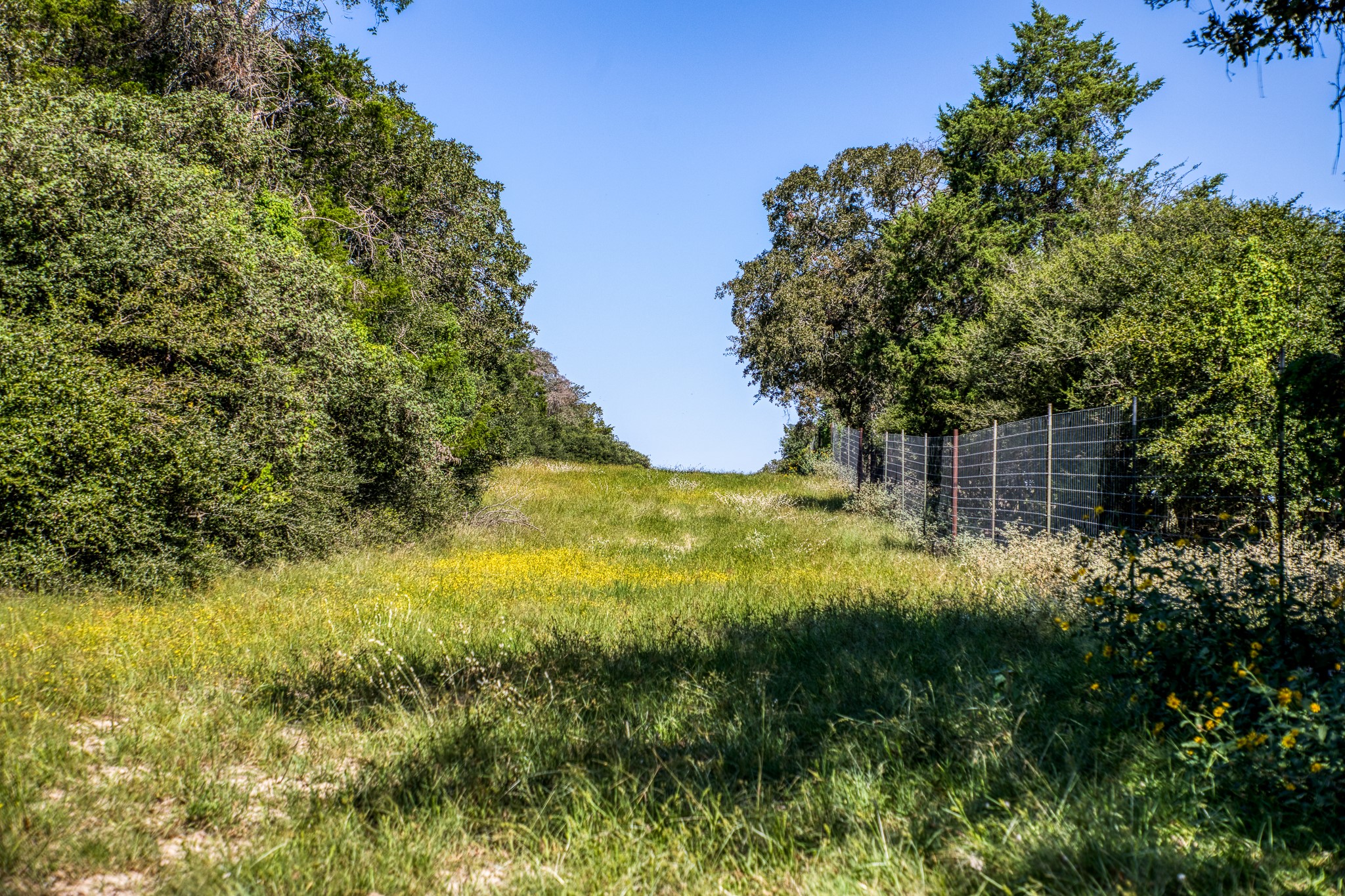 3336 County Road 326 Property Photo 45