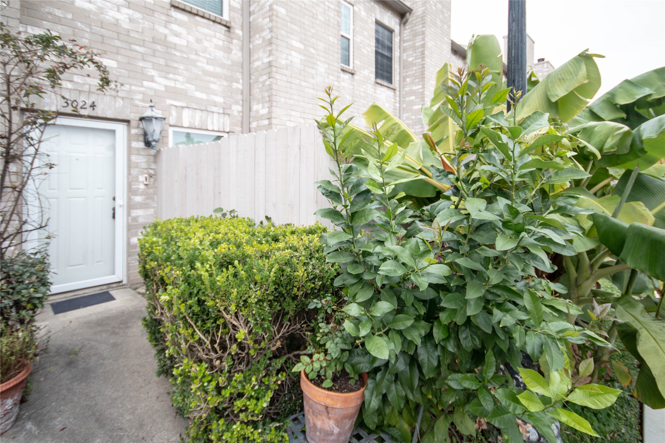 3024 Holly Hall Street Property Photo 3