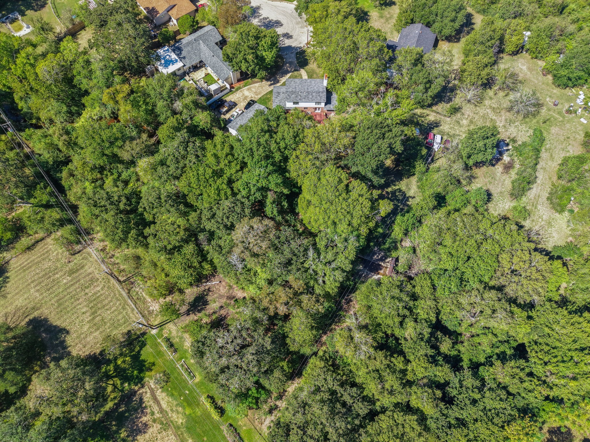 827 Vine Street Property Photo 3