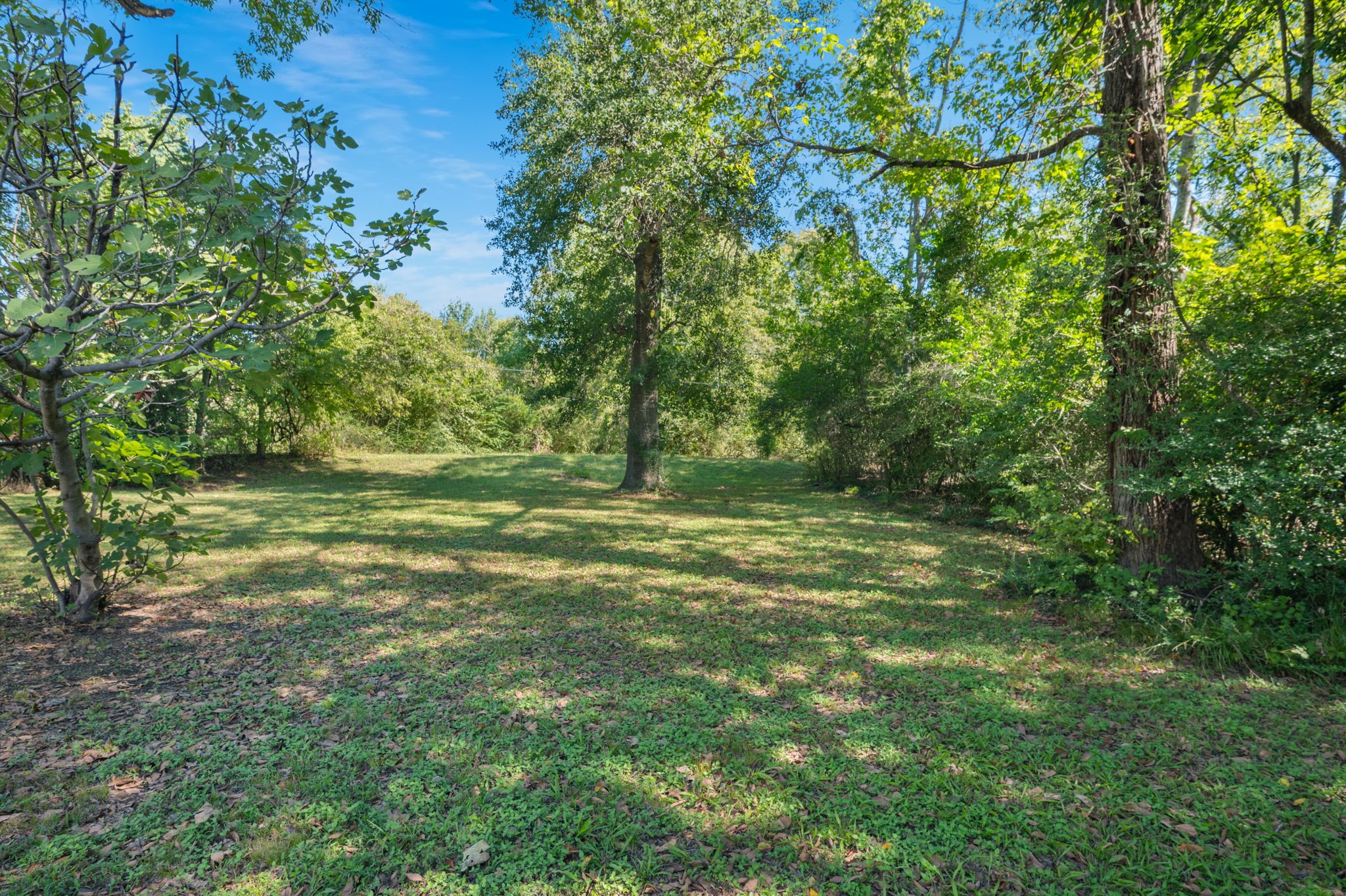 827 Vine Street Property Photo 6