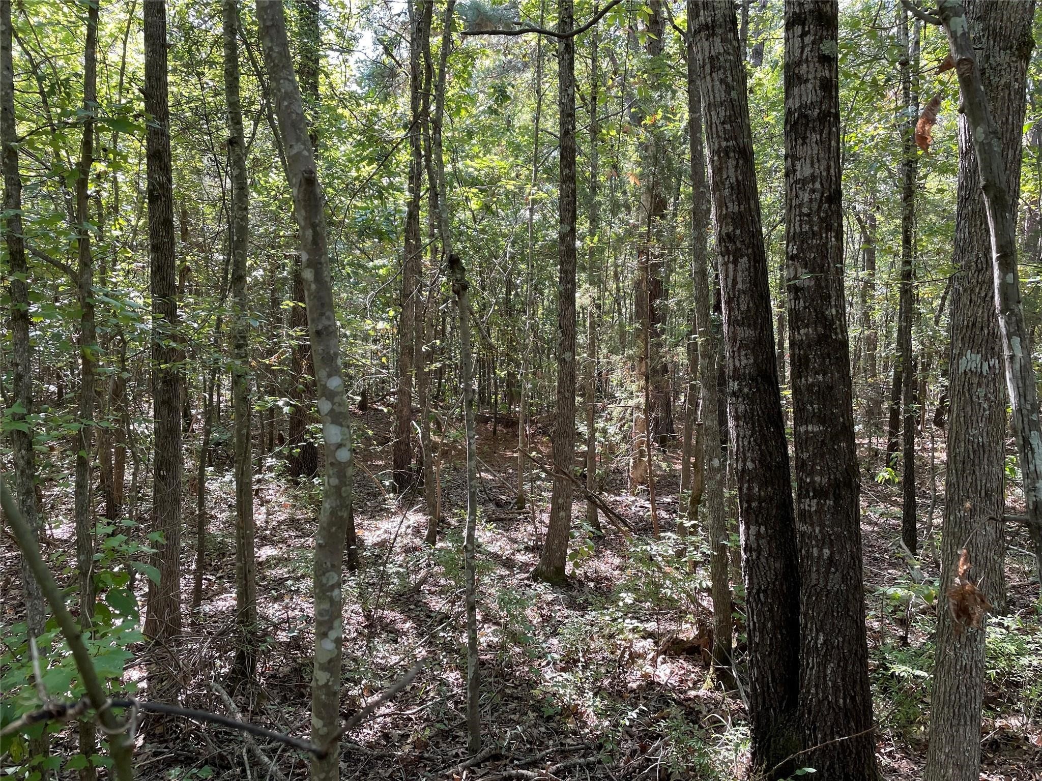 T2 Cr-3011 Property Photo 1