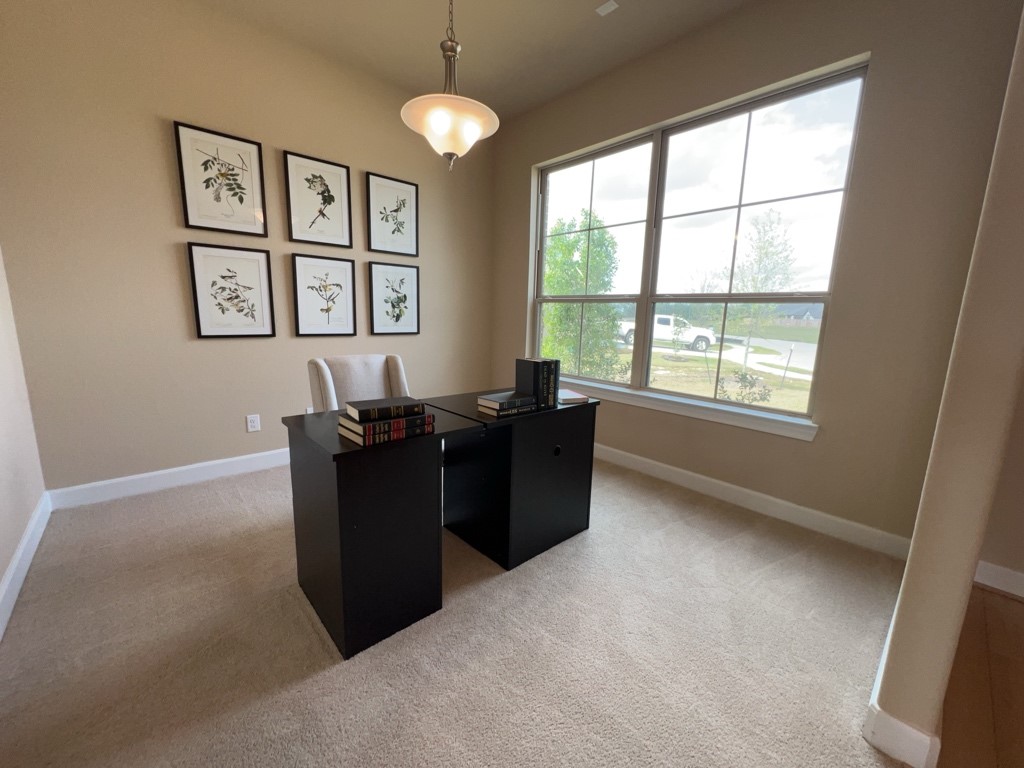 5602 Caracara Street Property Photo 5