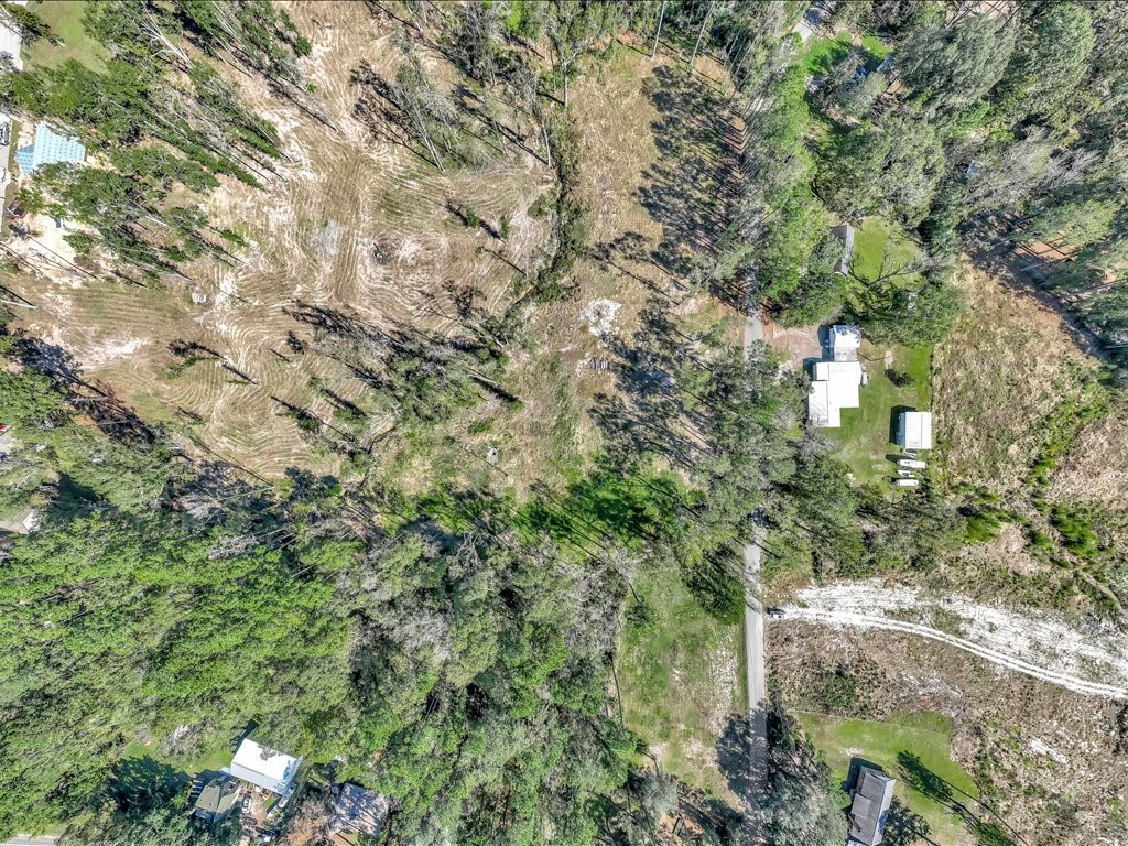 319 Sandybrook Property Photo 5