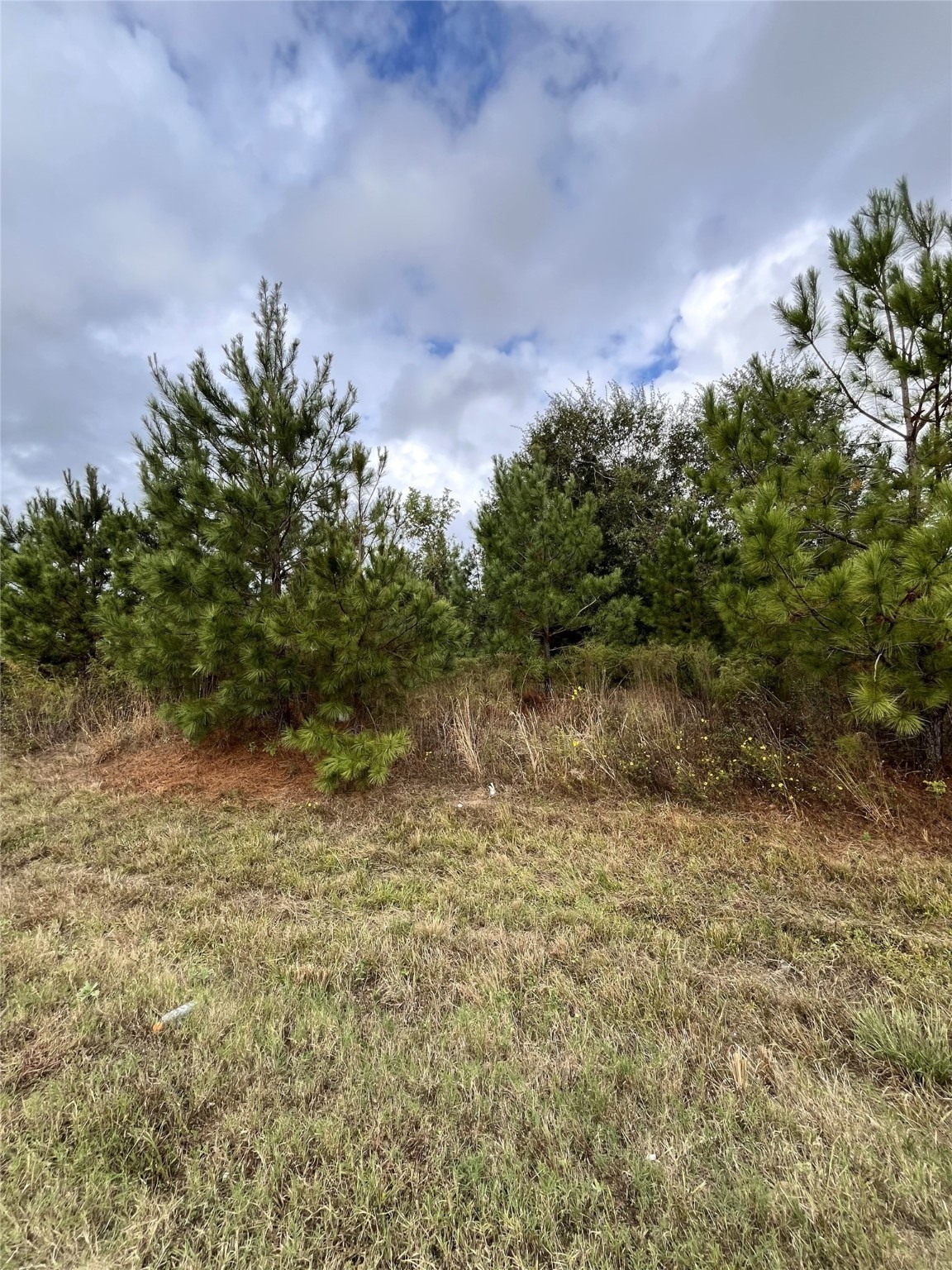 499 County Road 5017 Property Photo 1