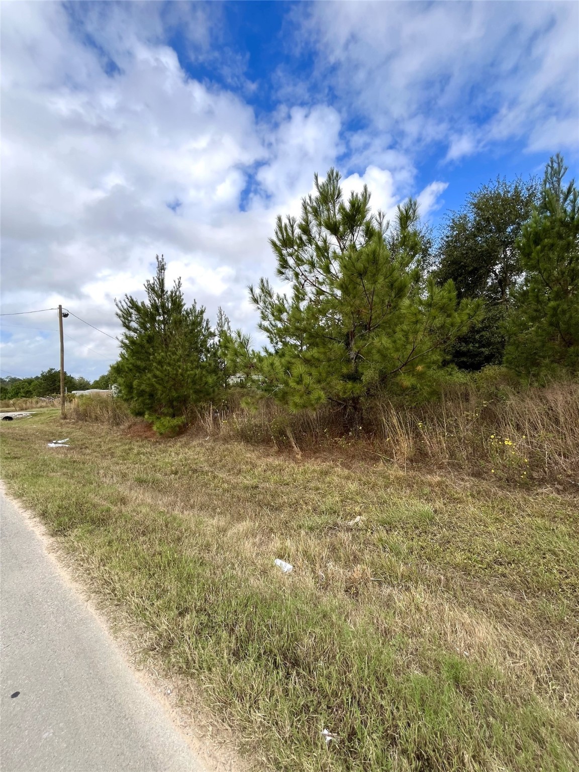 499 County Road 5017 Property Photo 4