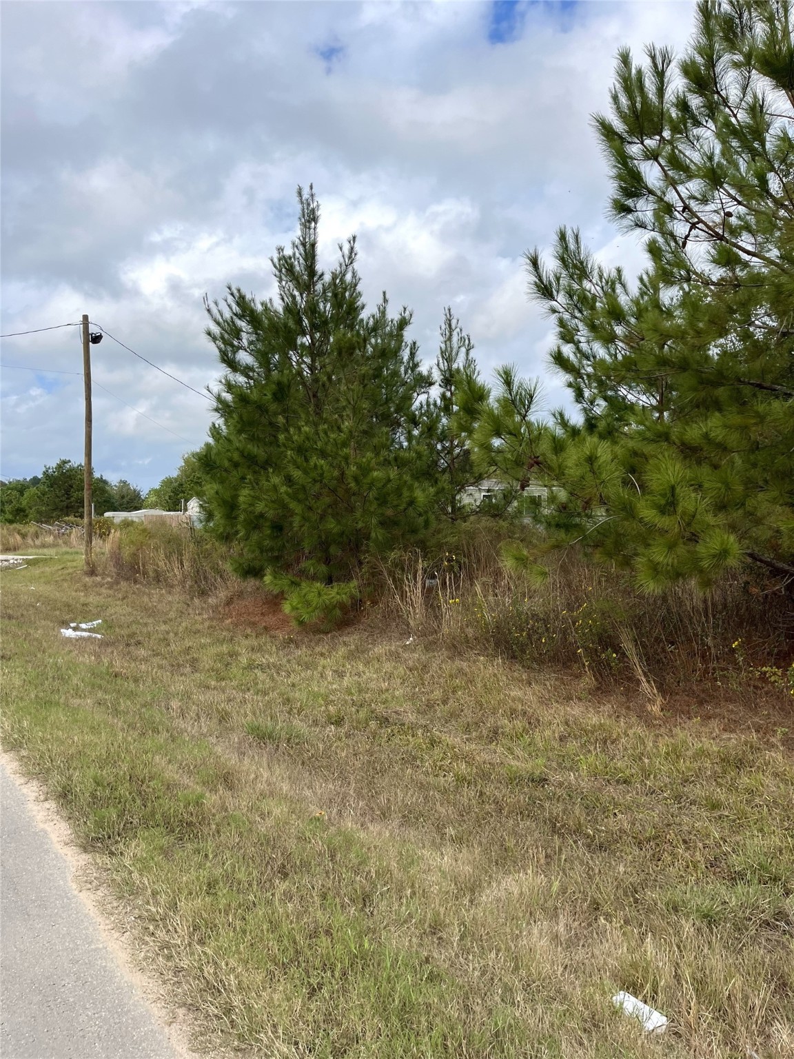499 County Road 5017 Property Photo 5