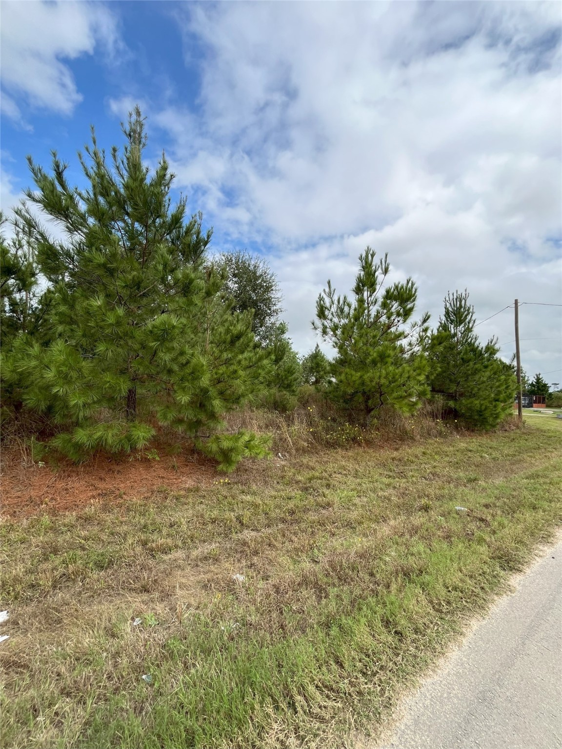 499 County Road 5017 Property Photo 7