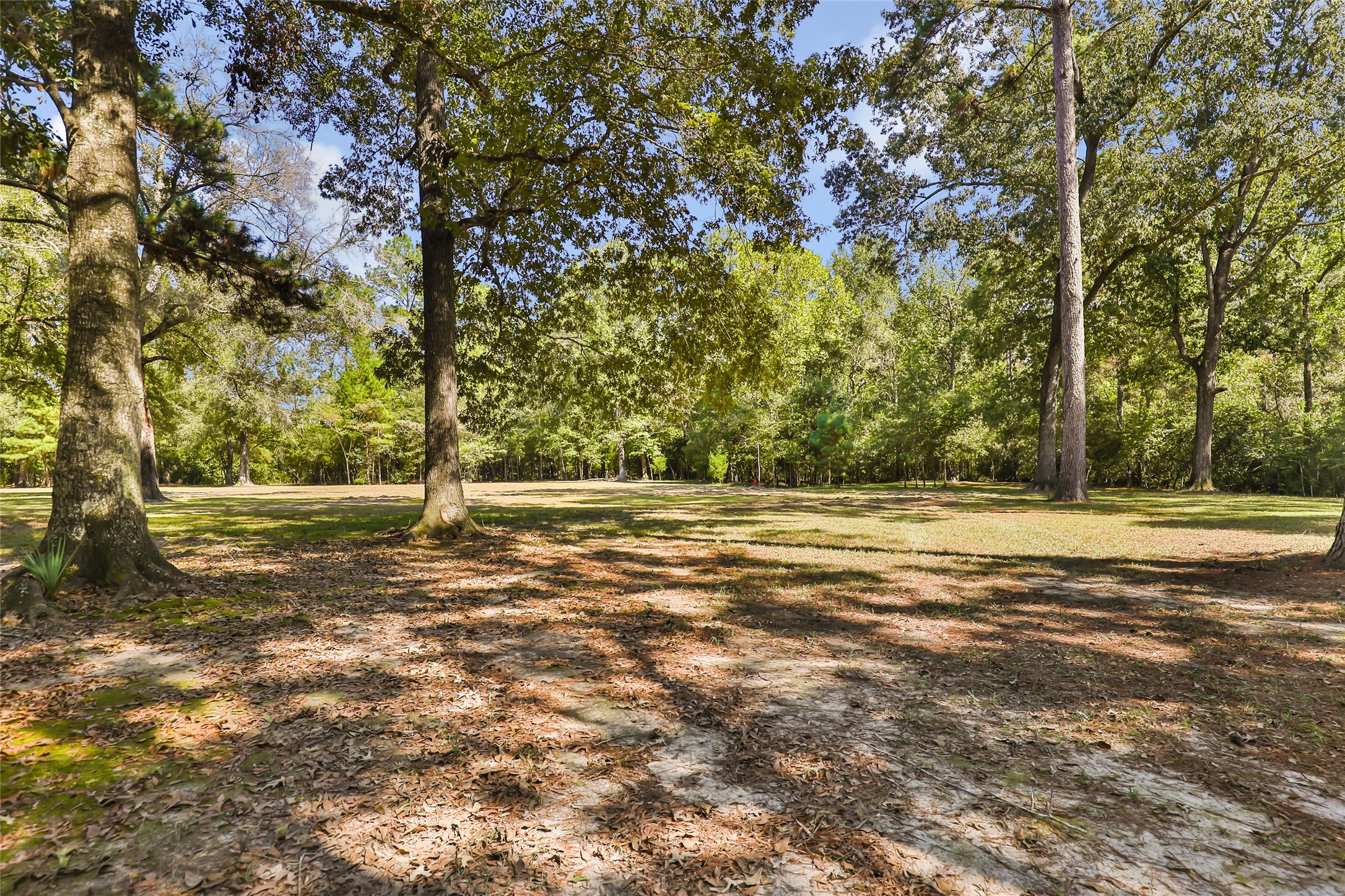 750 County Road 6471 Property Photo 6